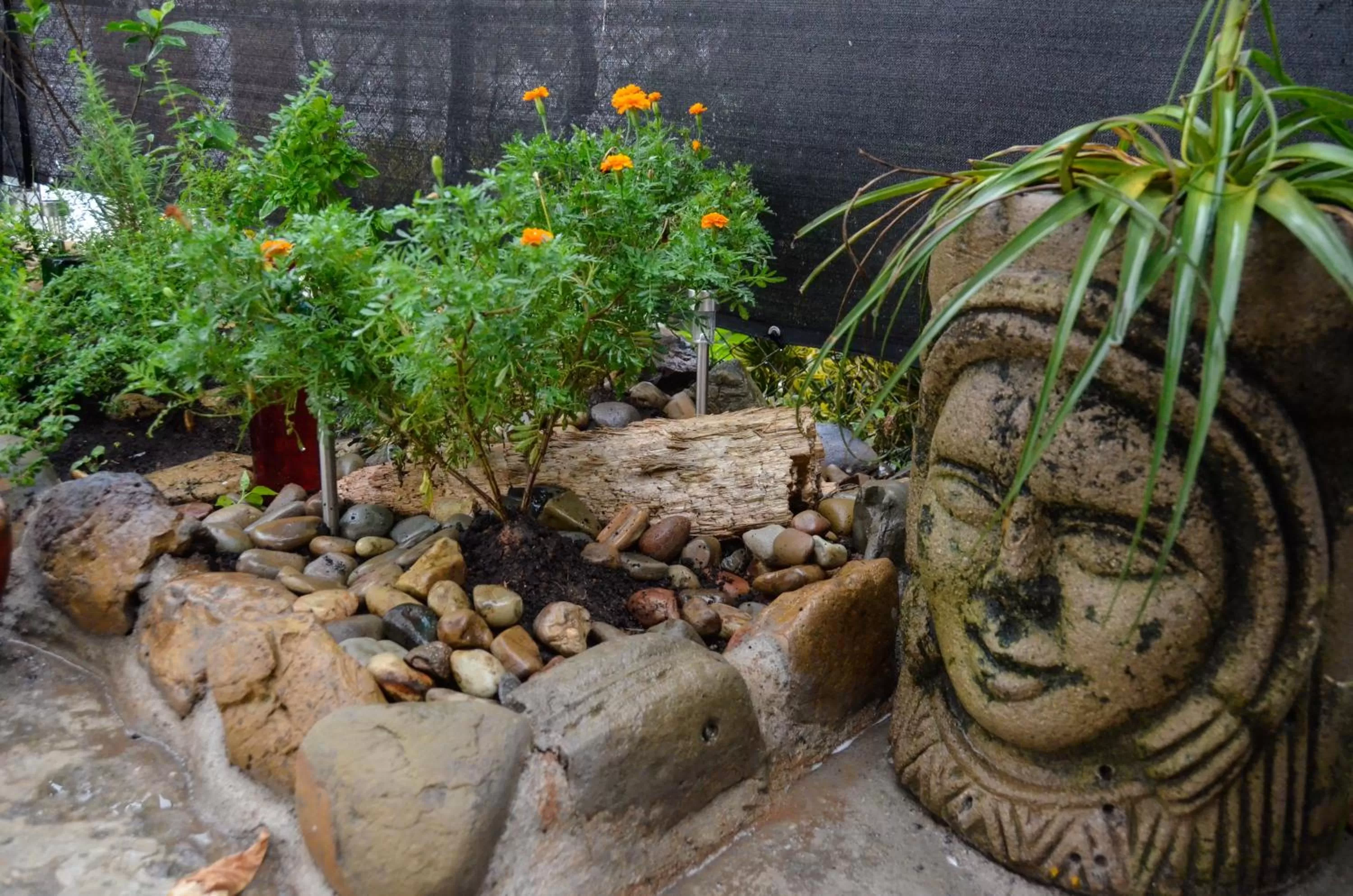 Decorative detail, Natural Landscape in Nuestra Casa