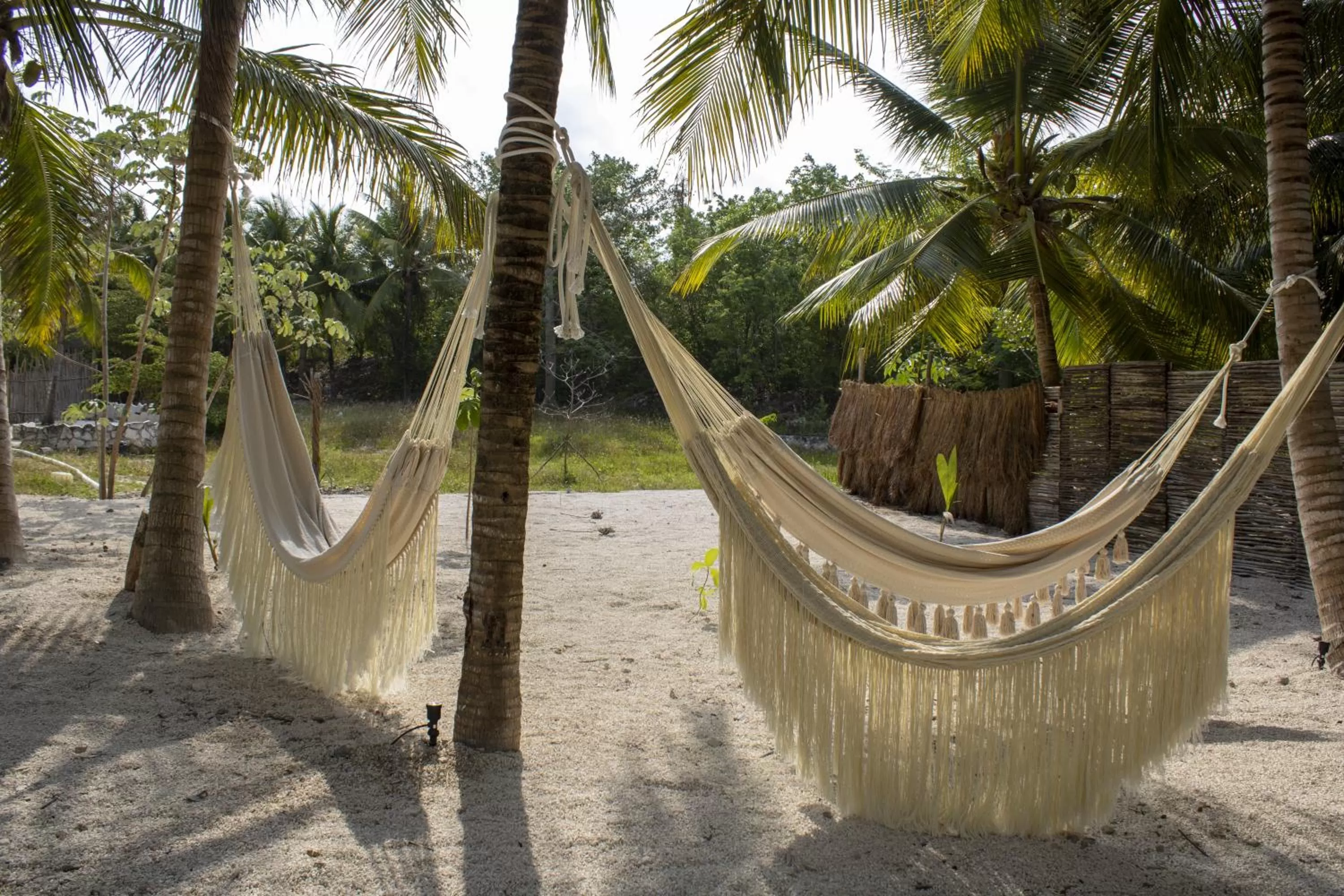 Natural landscape in Zenote Sanctuary