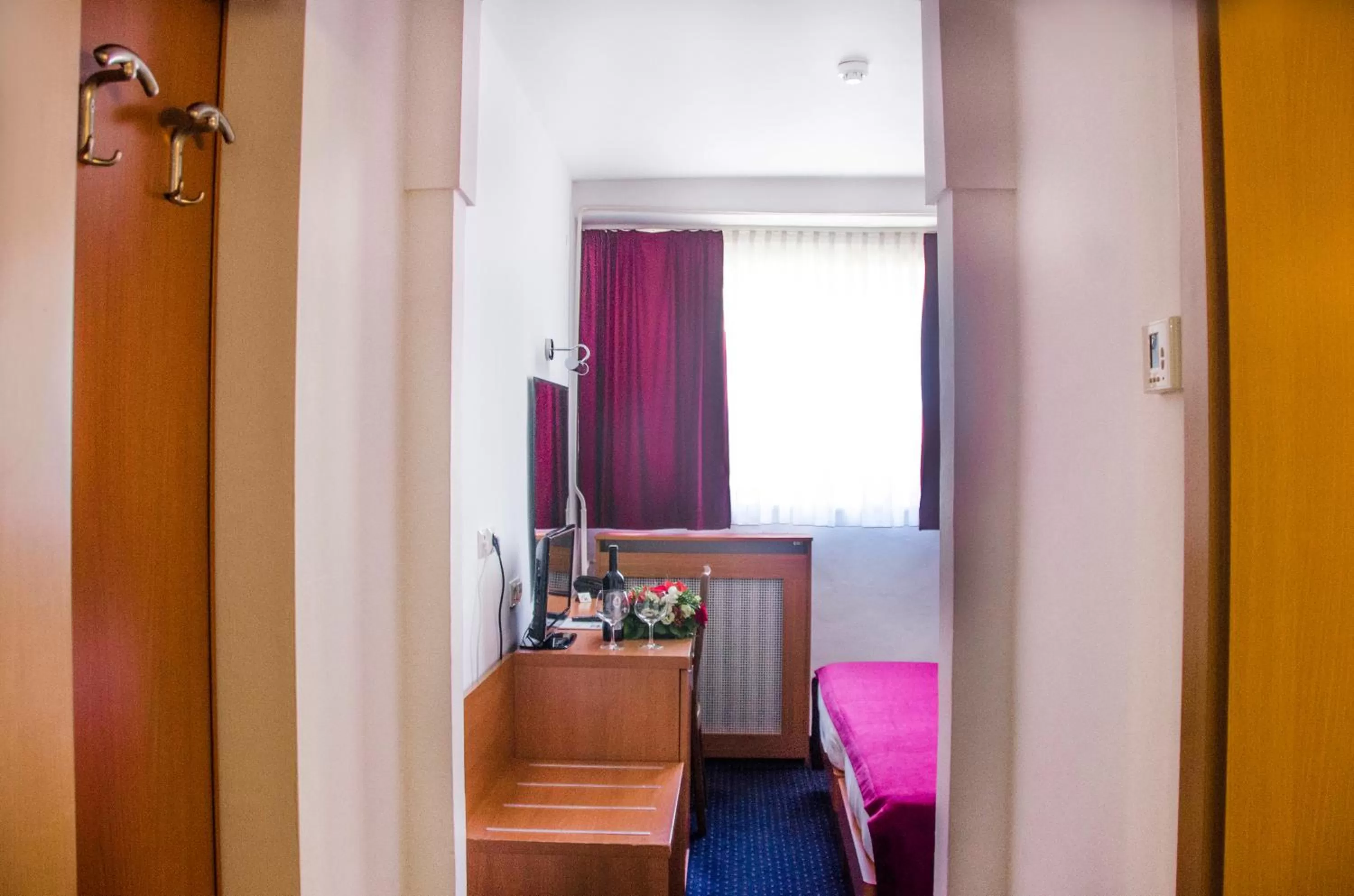 TV/Entertainment Center in Hotel Petka