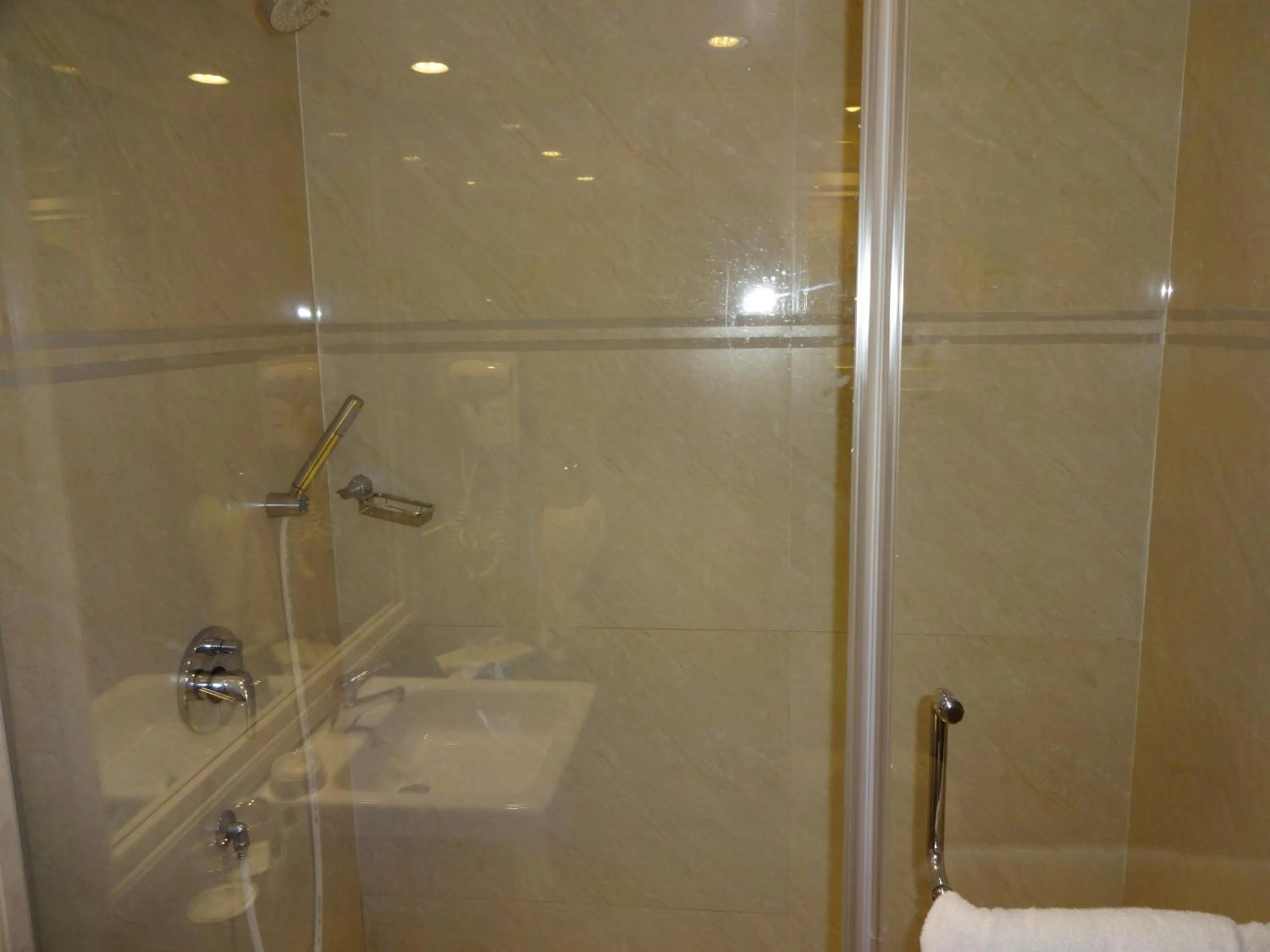 Bathroom in Savera Hotel