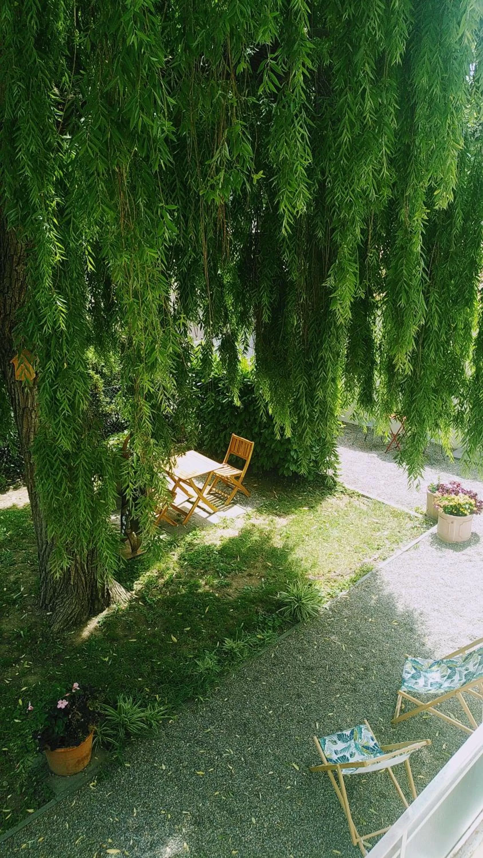 Garden view in Hotel des Horlogers