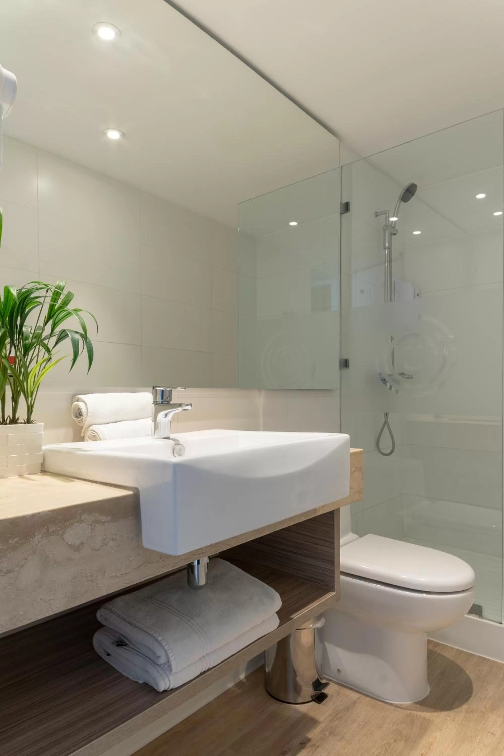 Shower in Hotel Capital Bellet