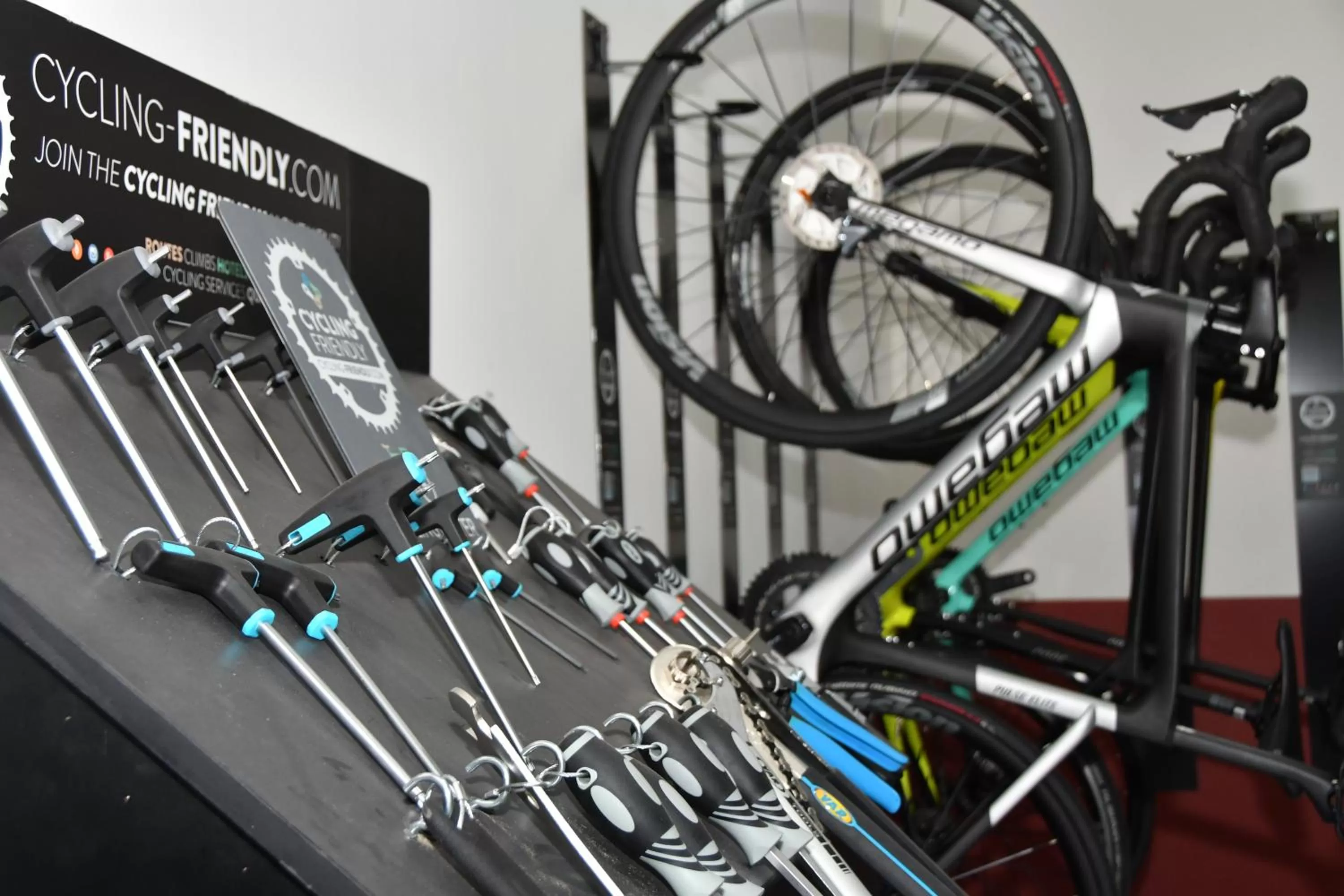 Cycling, Other Activities in Bahia Principe Sunlight Tenerife