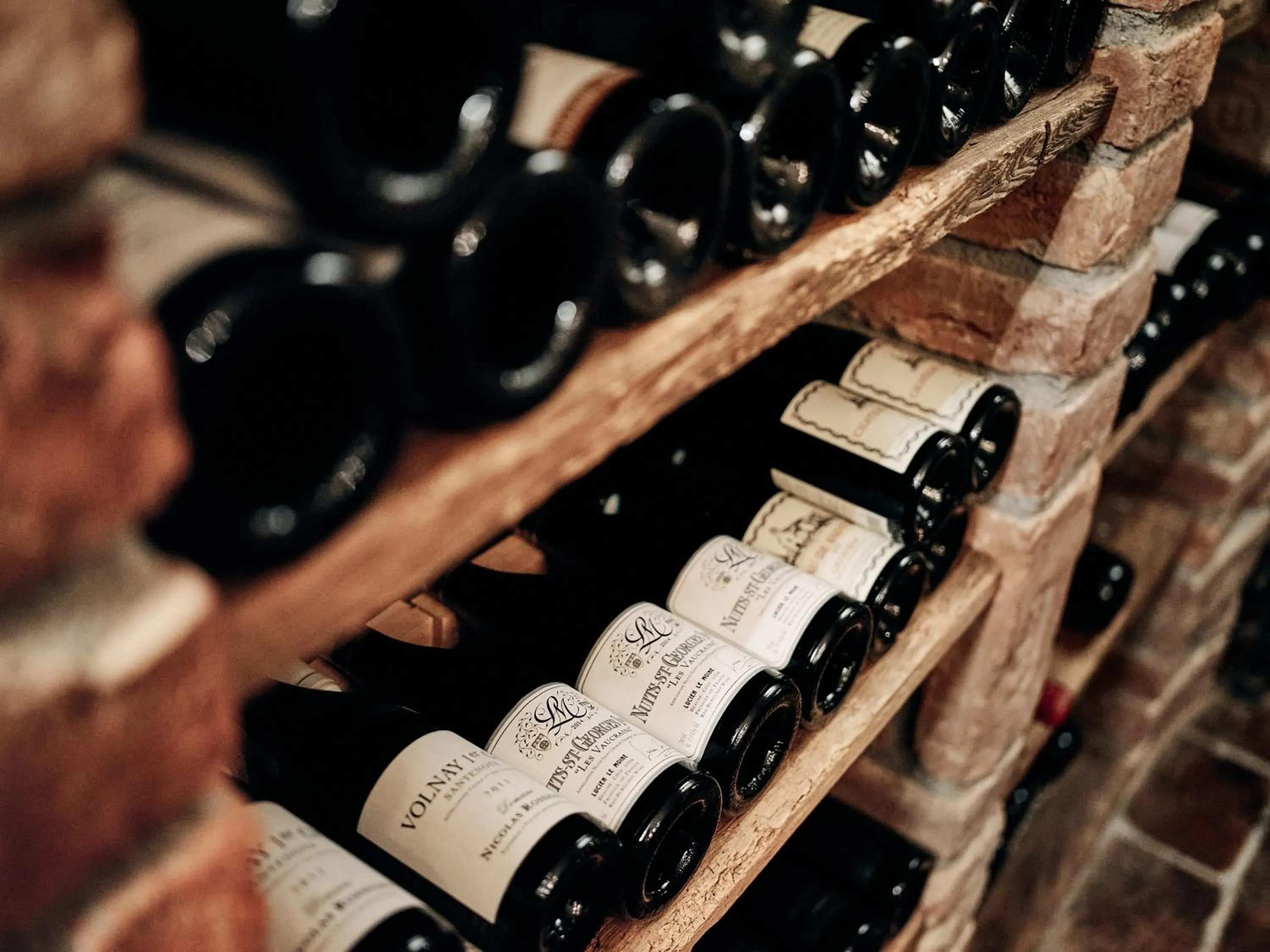 Area and facilities in Hotel Pichlmayrgut