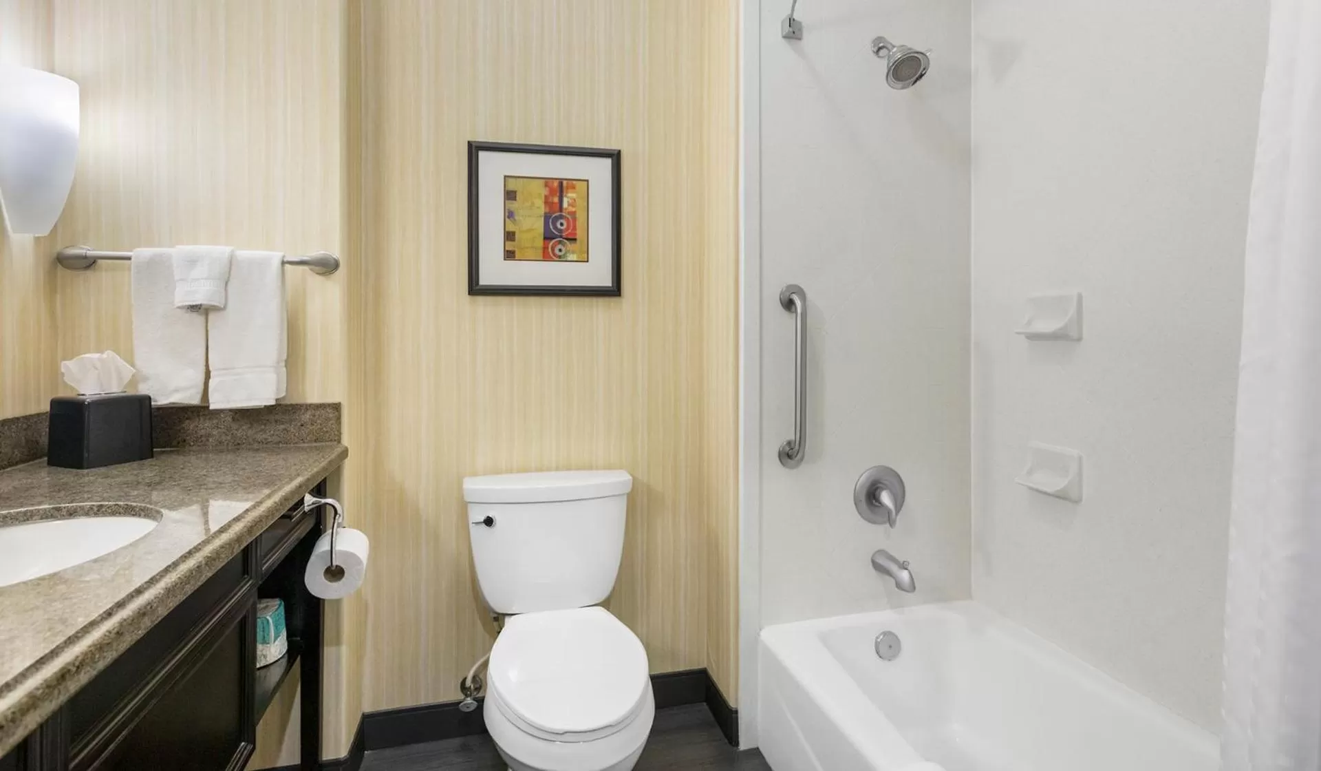 Deluxe King Room - Mobility Access in Holiday Inn Hotel & Suites Waco Northwest by IHG