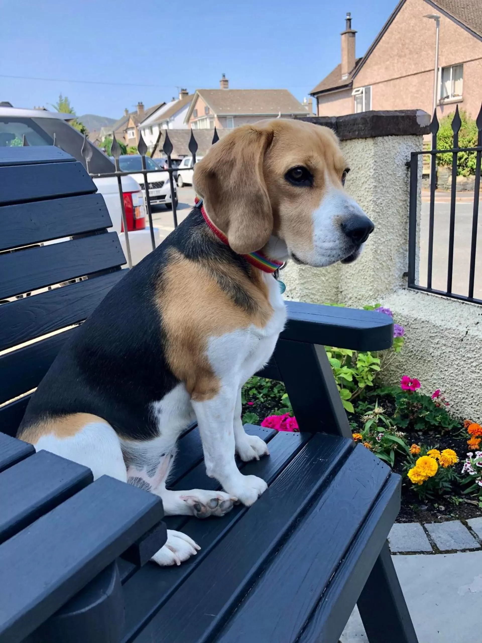 View (from property/room) in Salisbury Guest House