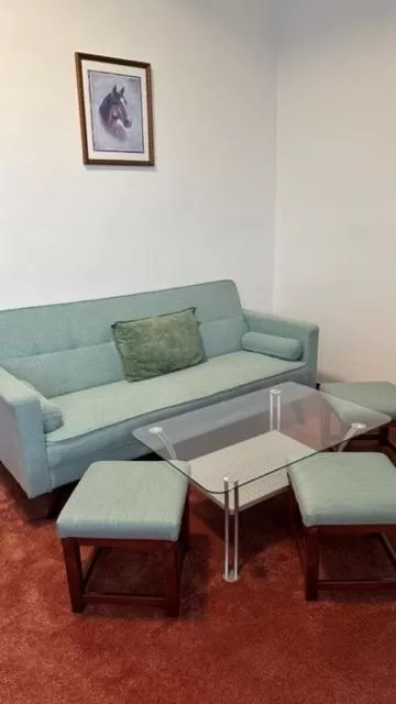 Seating Area in Hotel Bothe