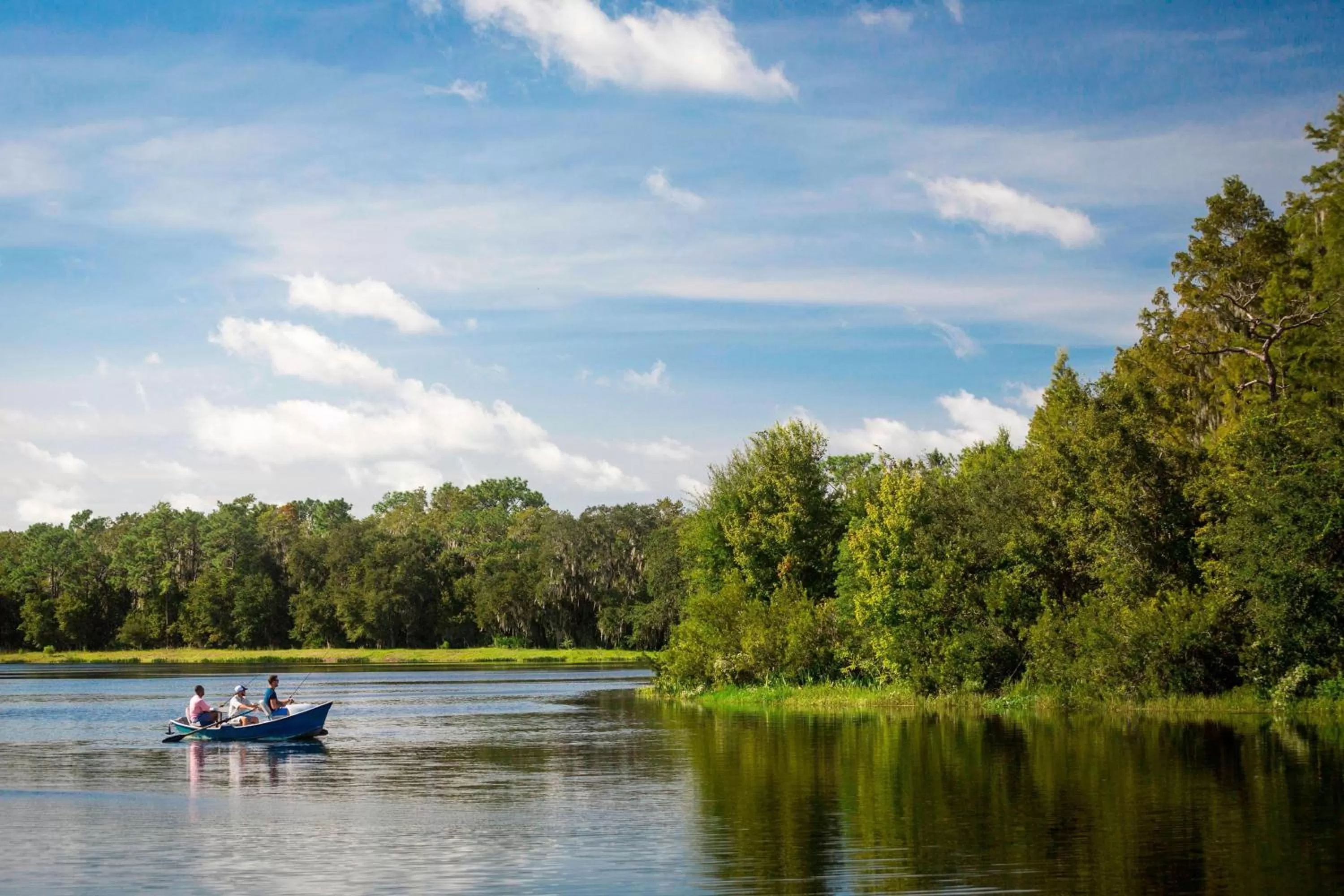 Other in The Ritz-Carlton Orlando, Grande Lakes