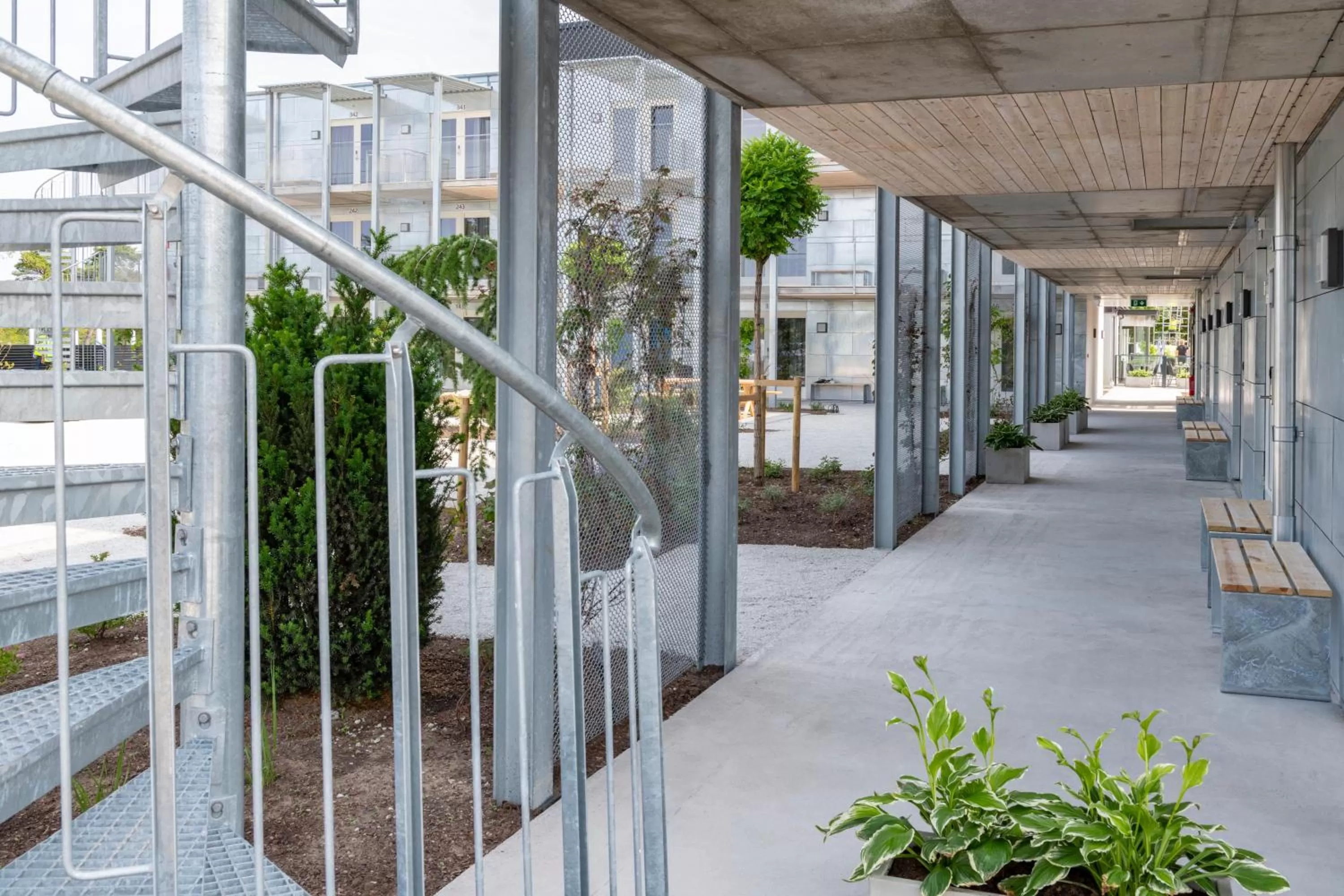 Patio in First Hotel Kokoloko