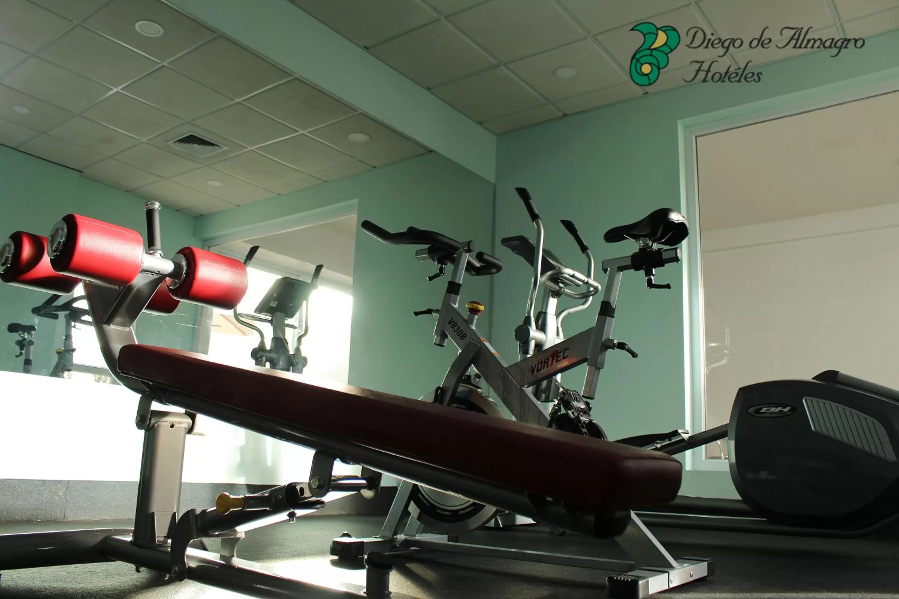 Fitness centre/facilities in Hotel Diego de Almagro Curicó