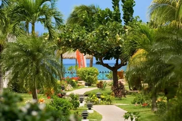 Garden in Coyaba Beach Resort