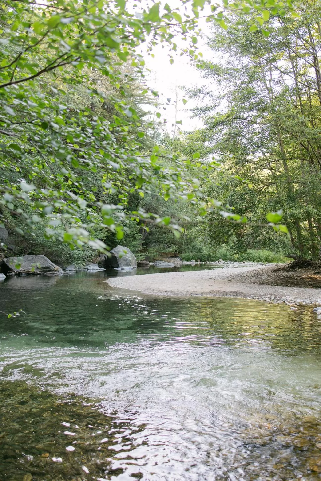 River view in Fernwood Resort