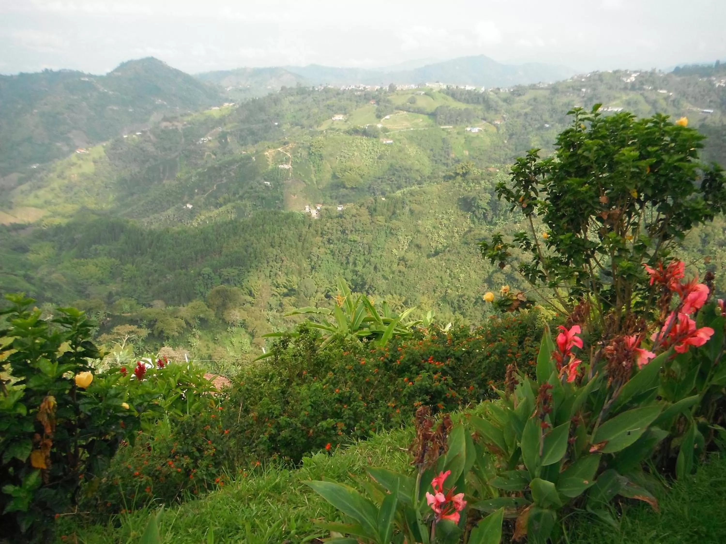 Natural landscape in Mirador Finca Morrogacho