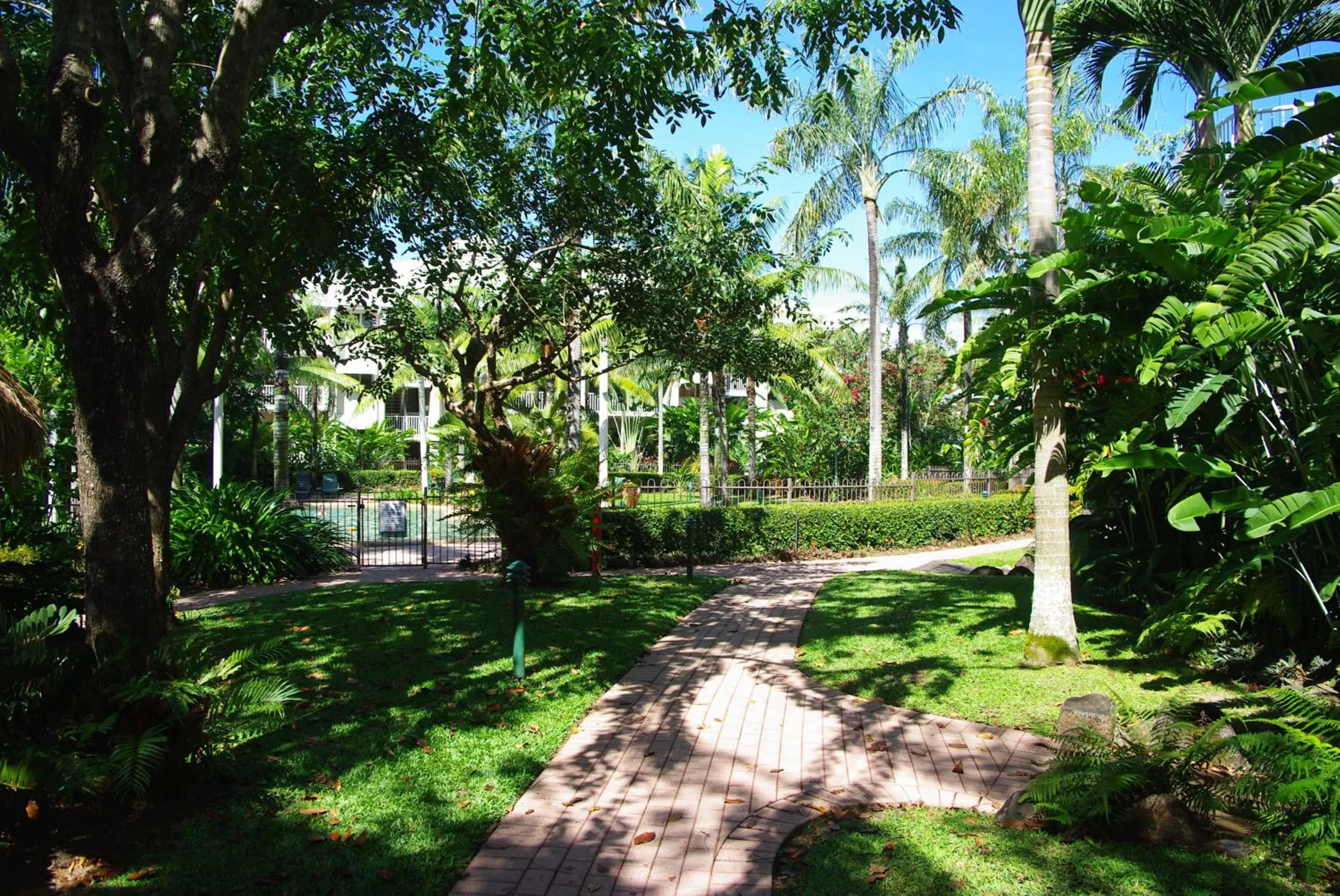 Garden in Cairns Beach Resort