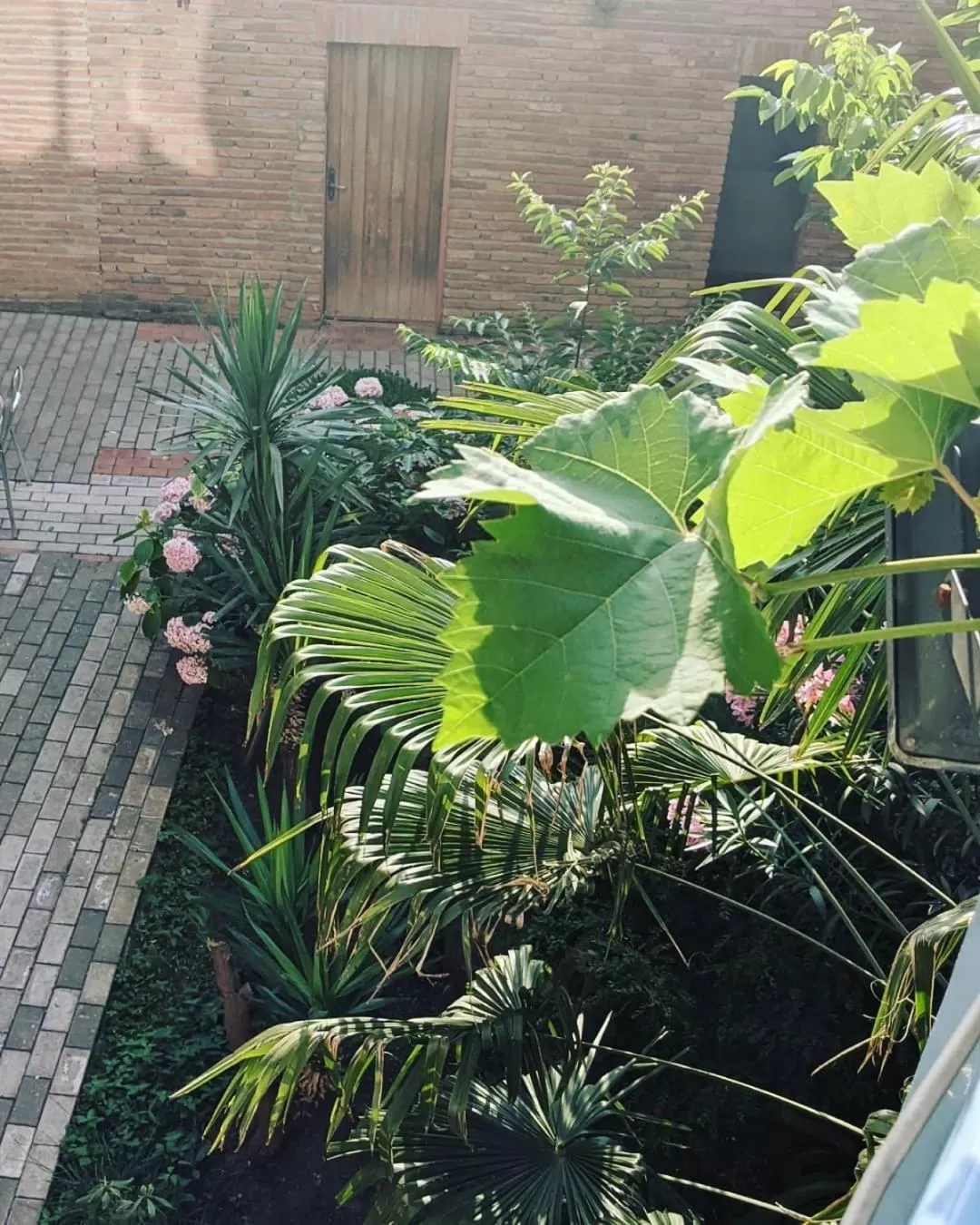 Pool View in Hotel Kalanga