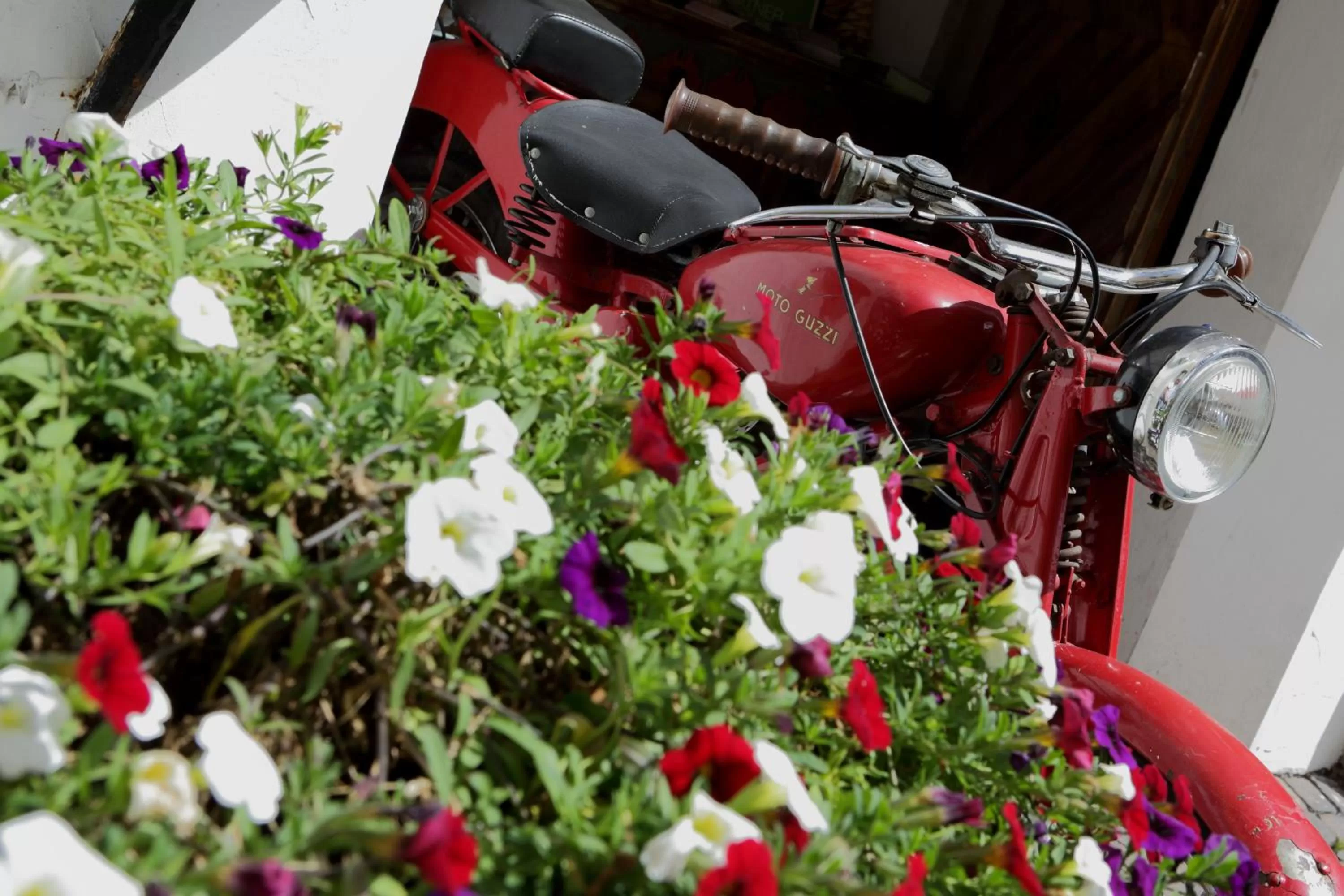 Other in Historic Hotel Ristorante La Stua