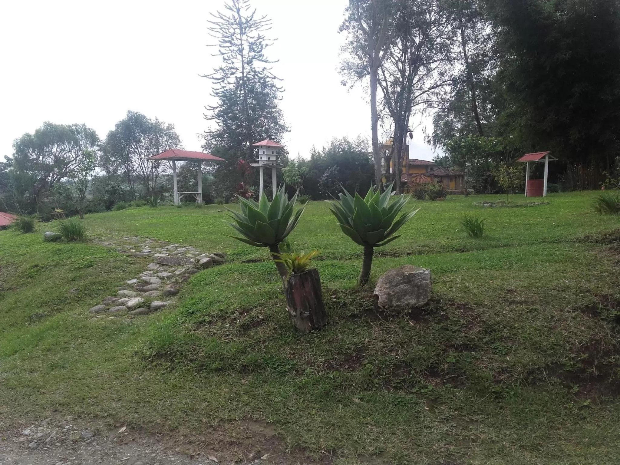 Garden view, Garden in La Gaviota BnB