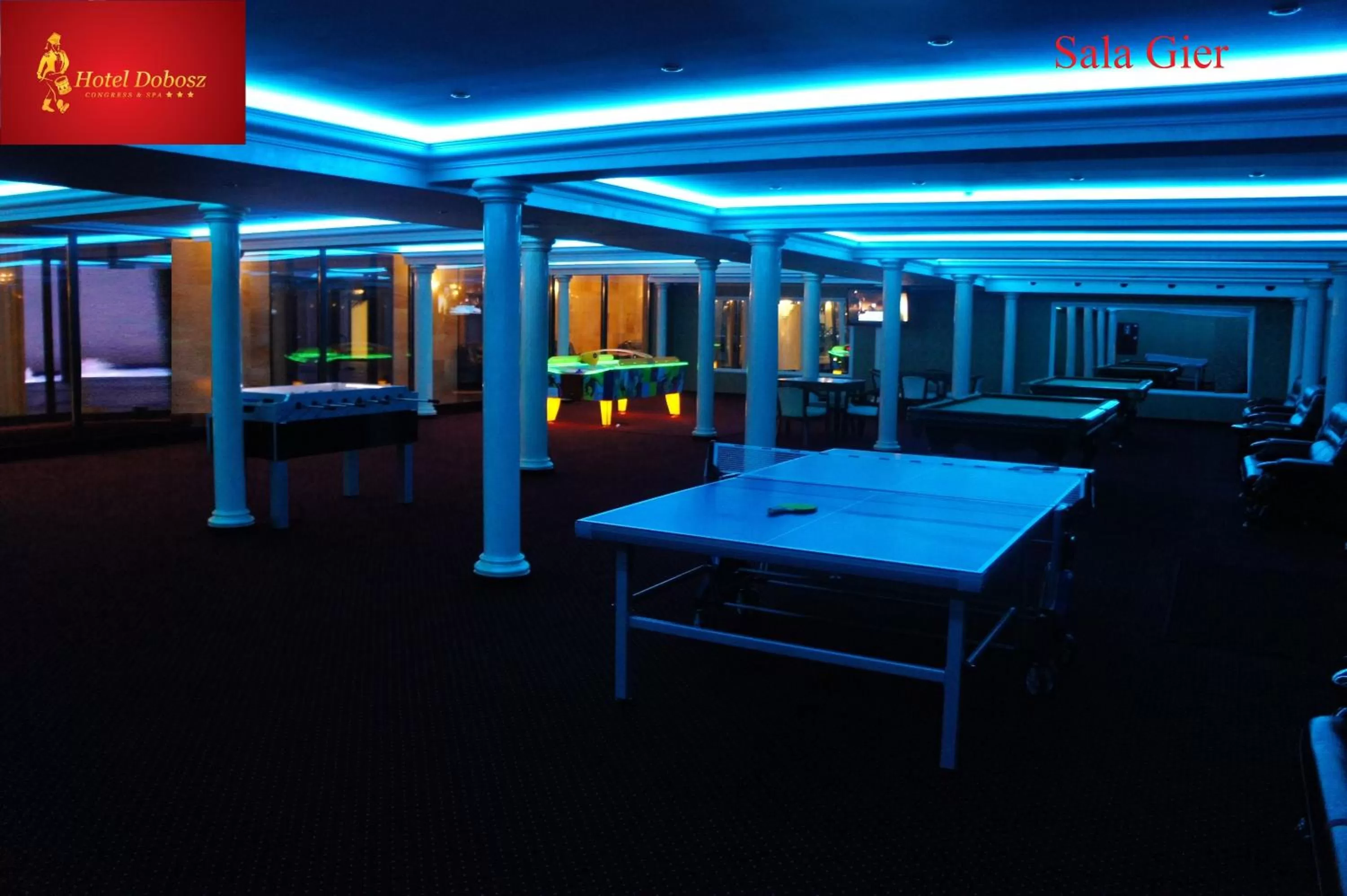 Communal lounge/ TV room in Hotel Dobosz