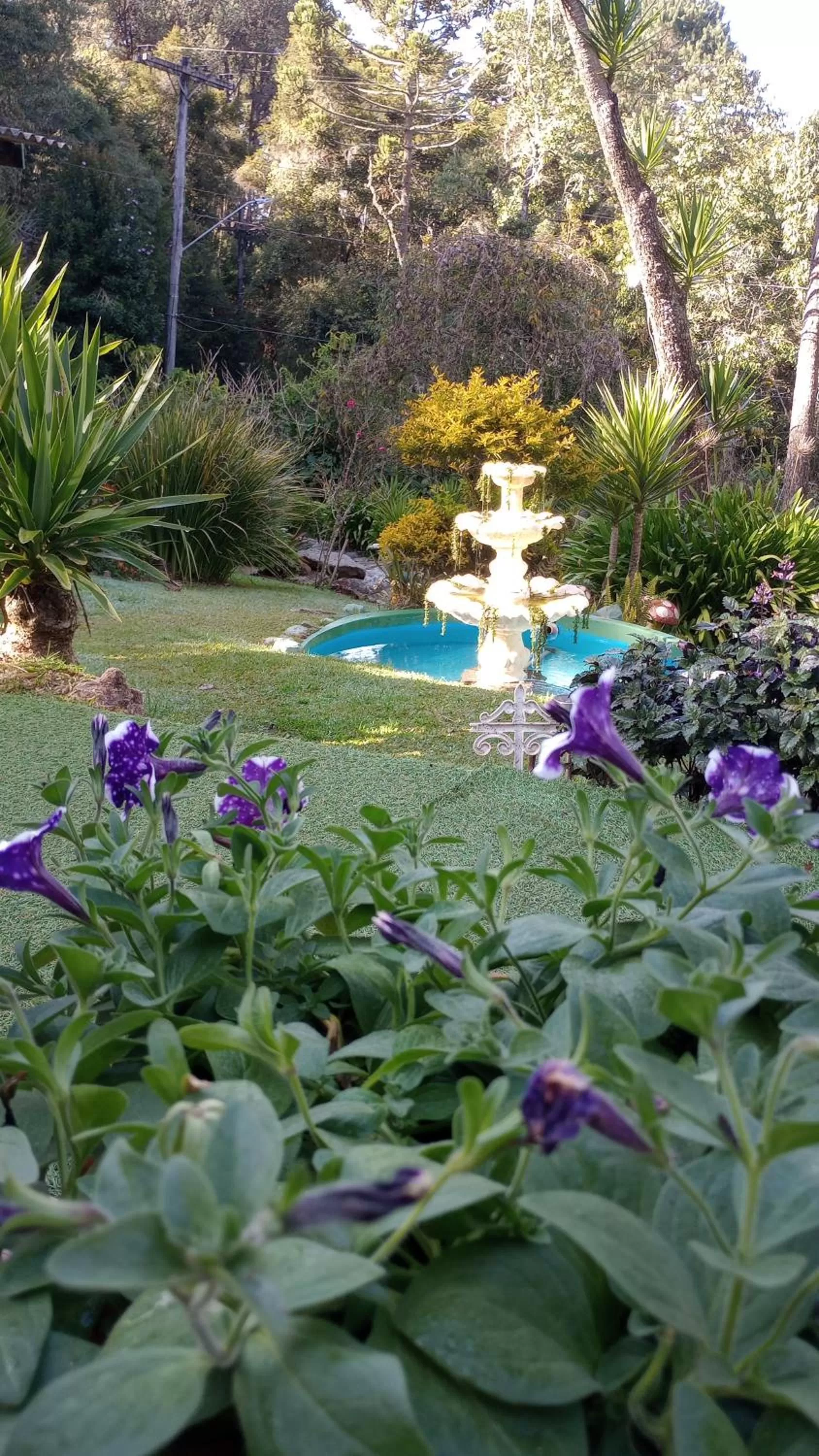Garden in Rancho da Raposa em Campos do Jordão