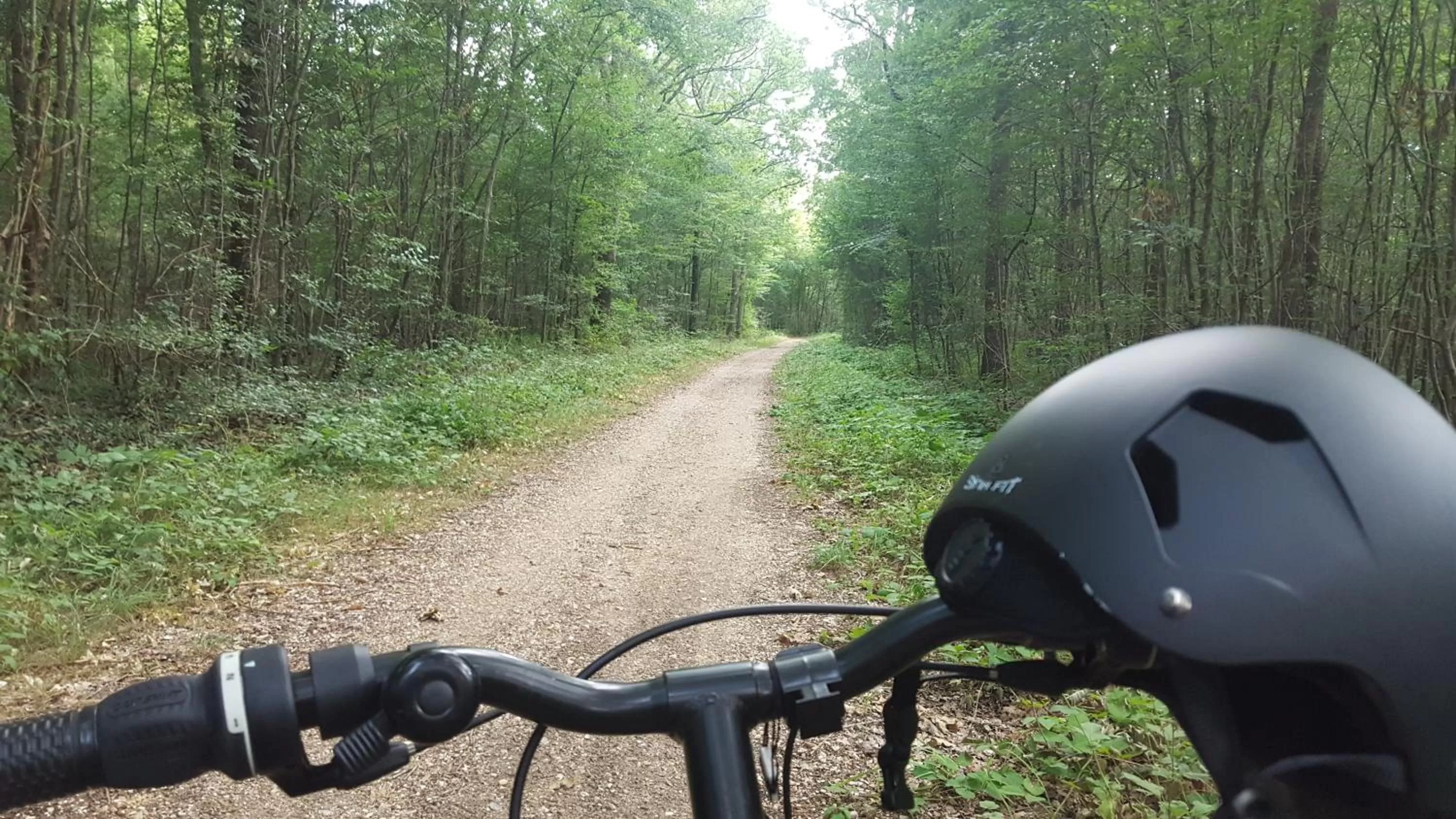 Cycling in Apakabar Homestay - proche gare Melun, parking privé, Netflix