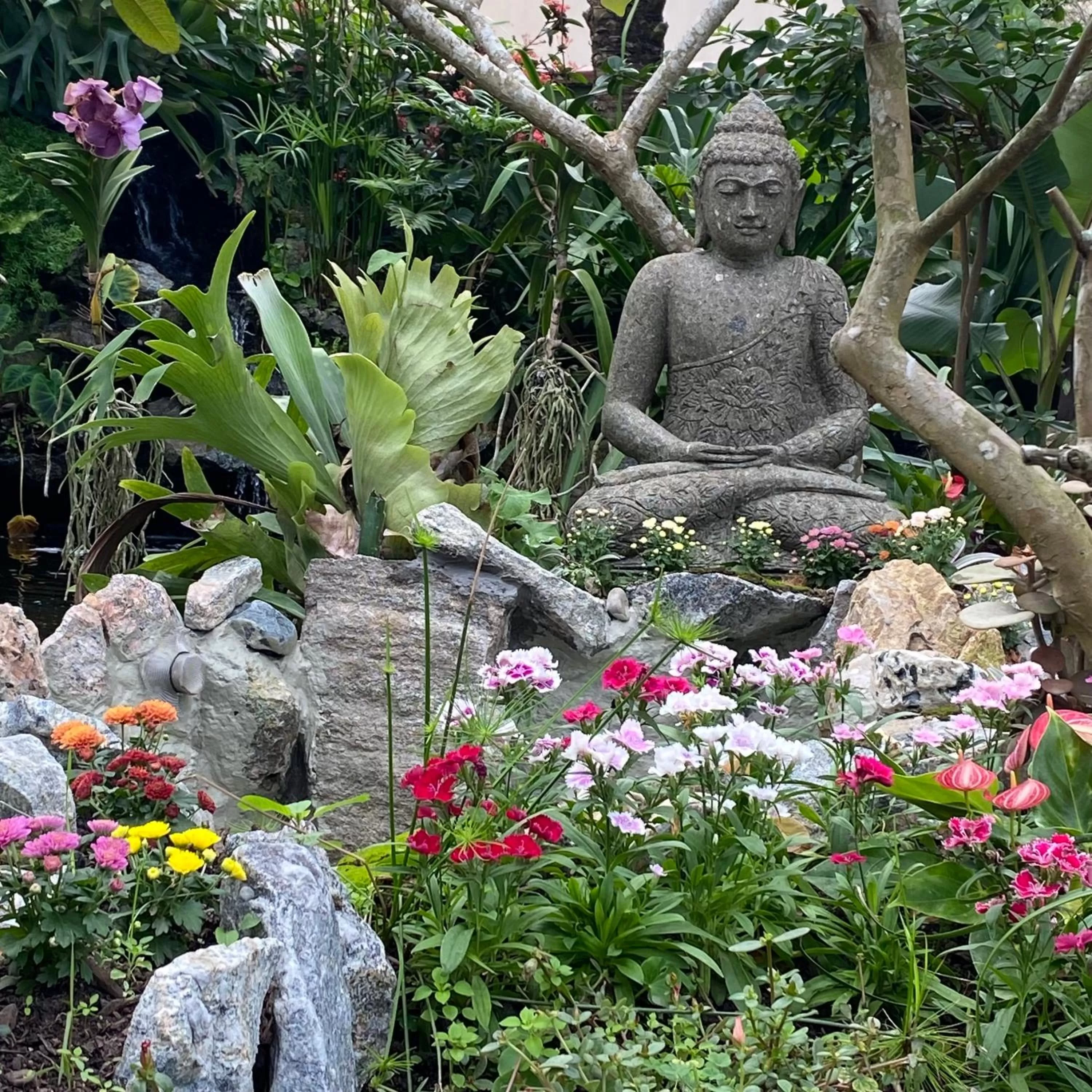 Other Animals in Pousada Casa da Praia