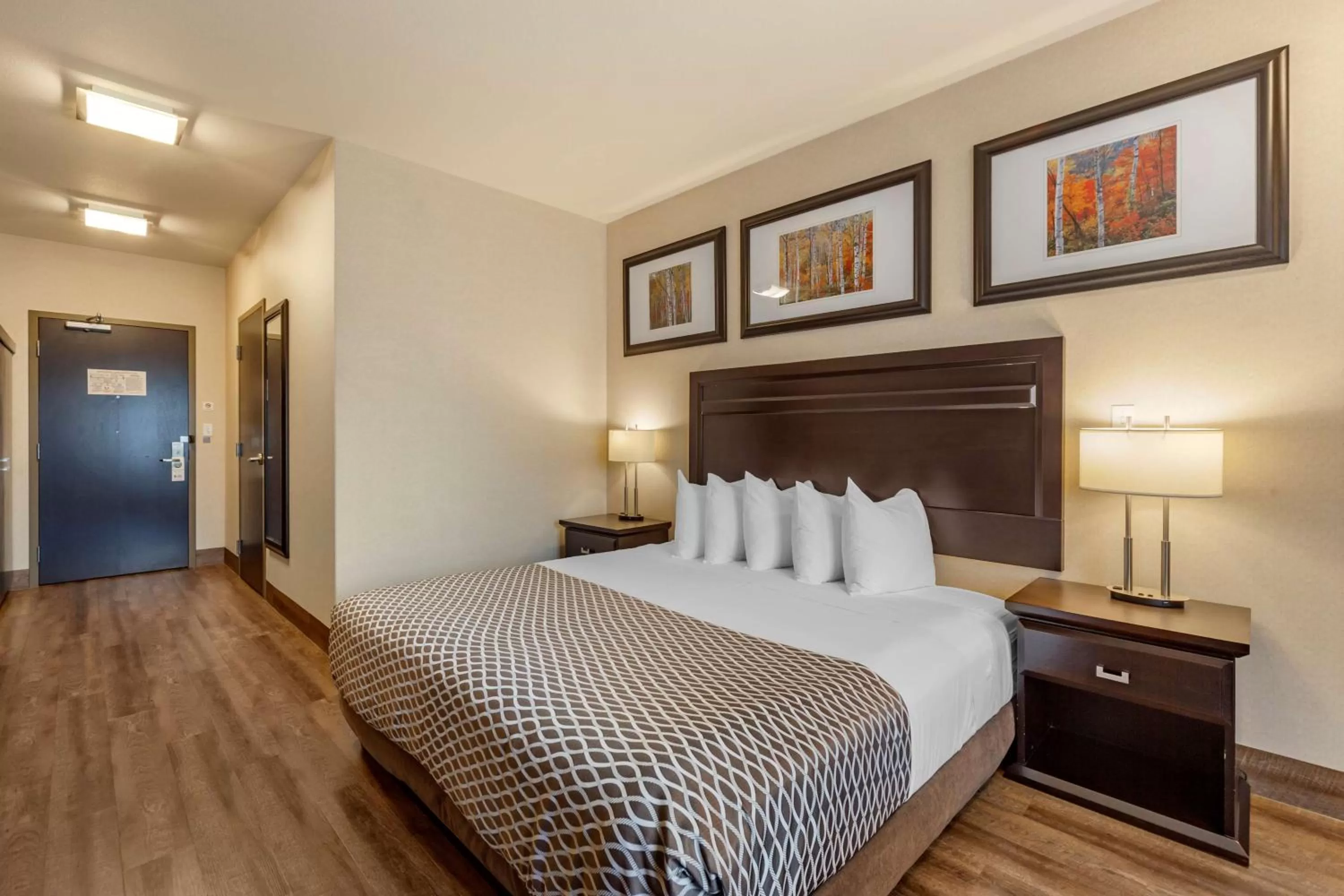 King Room with Roll-in Shower - Non-Smoking in Best Western Plus The Inn at St Albert