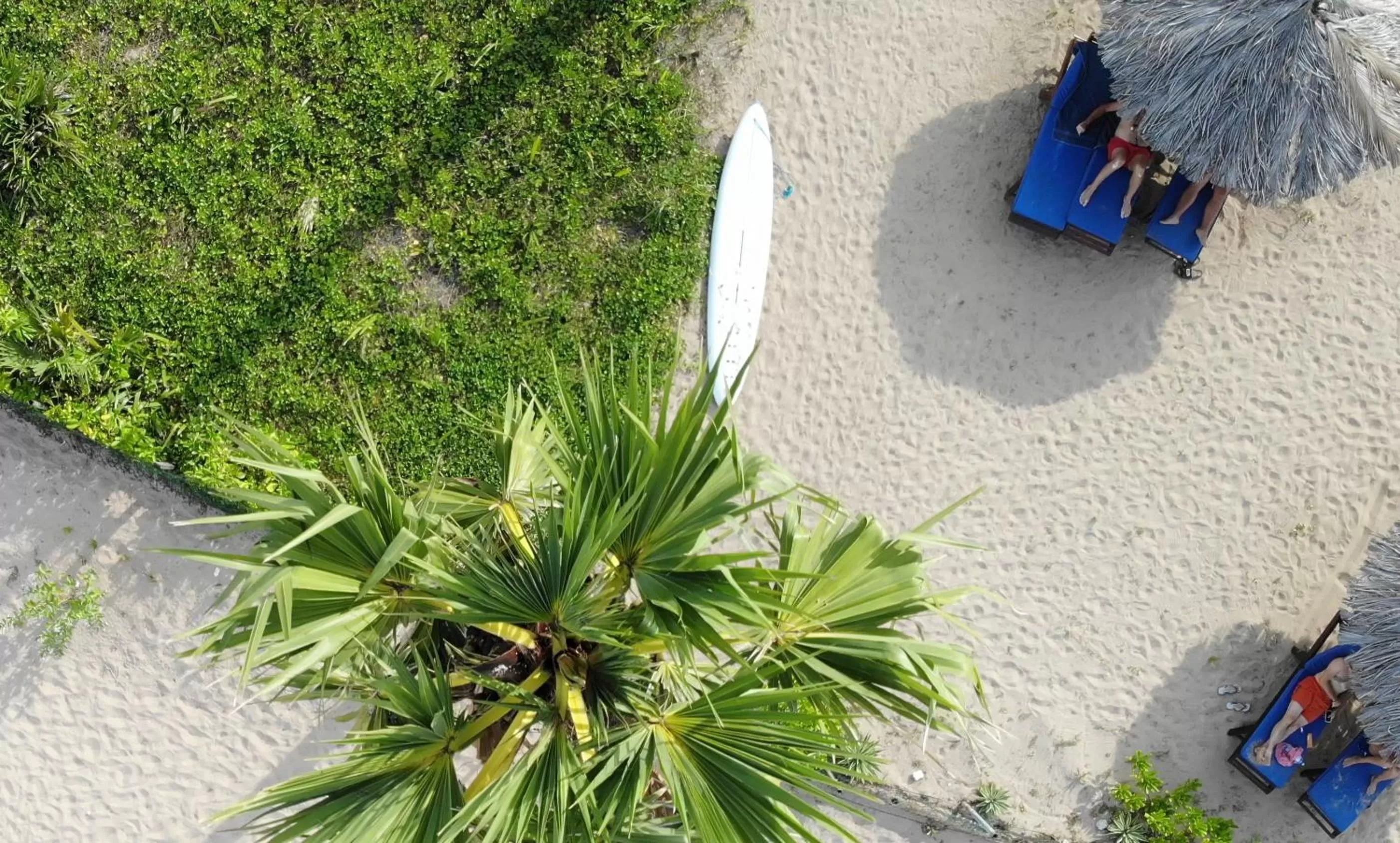 Beach in 108 Palms Beach Resort