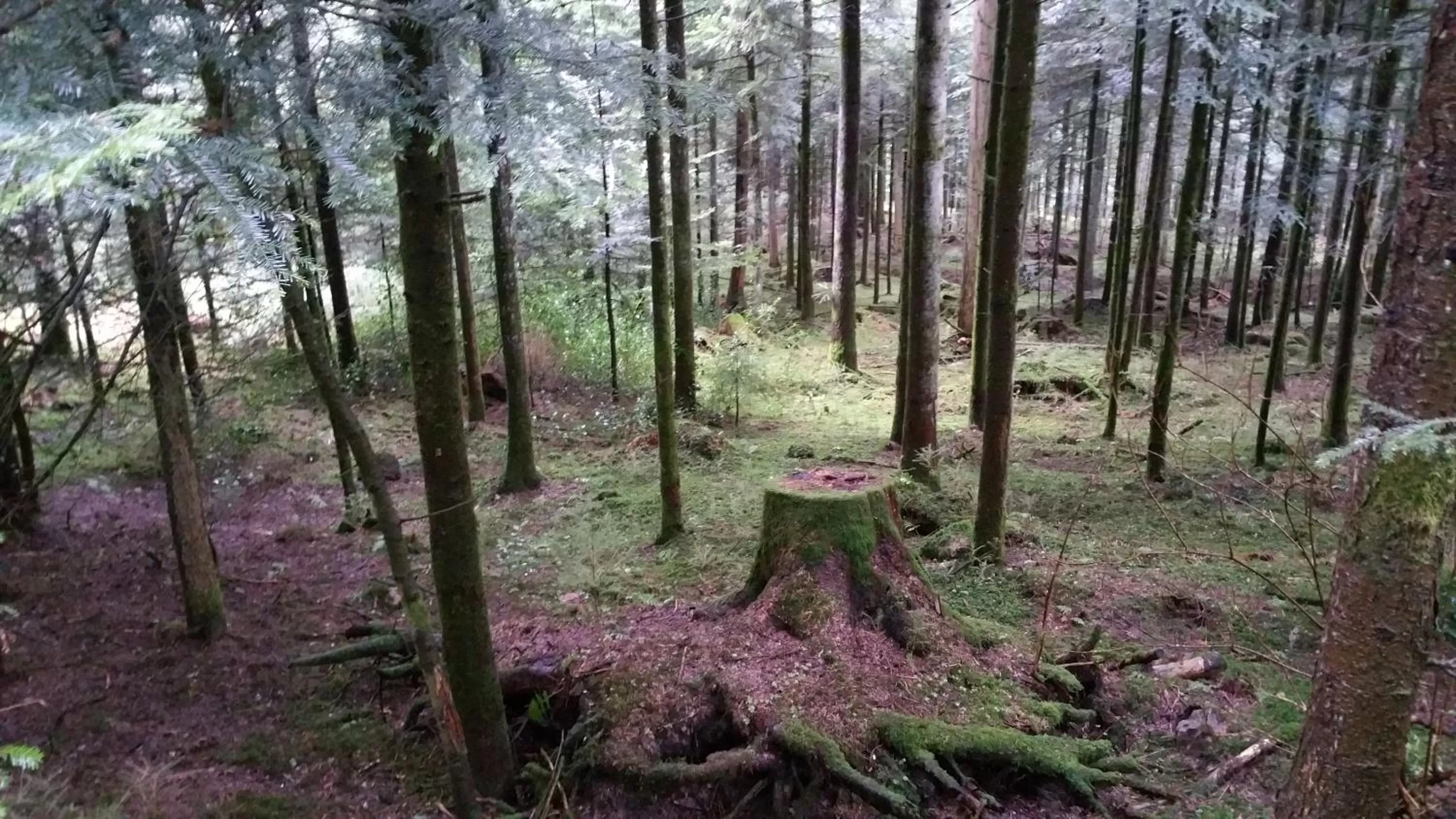 Öko-Landhotel Basler Hof