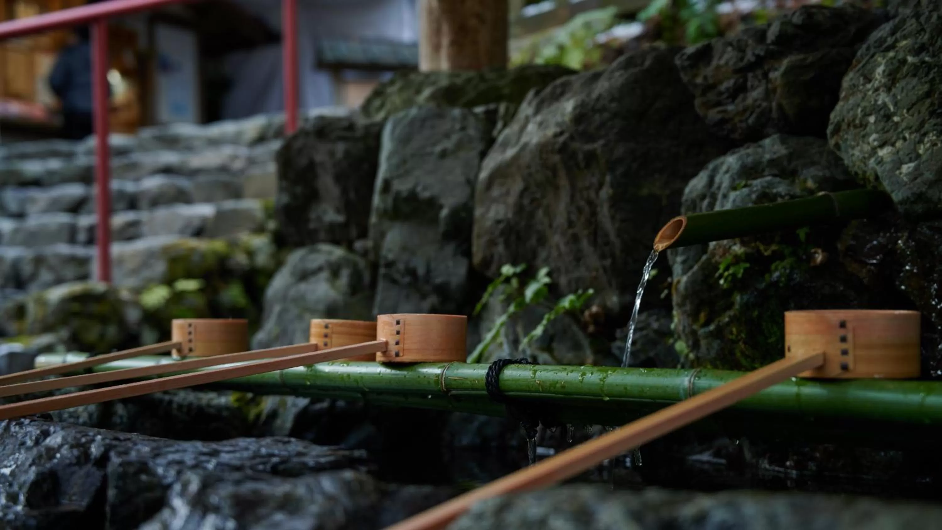 Activities in The Thousand Kyoto