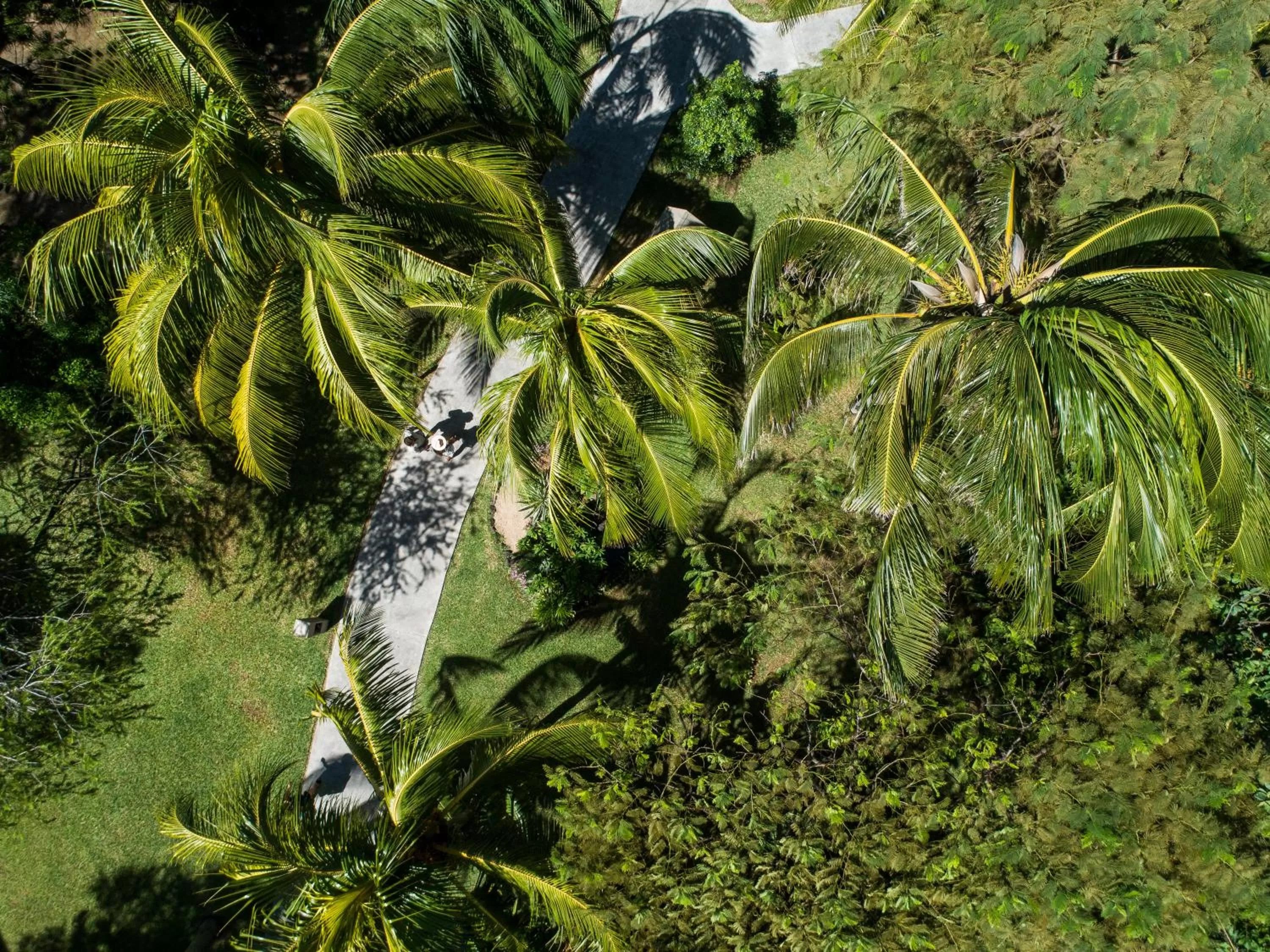 Garden in Solana Beach Mauritius - Adults Only