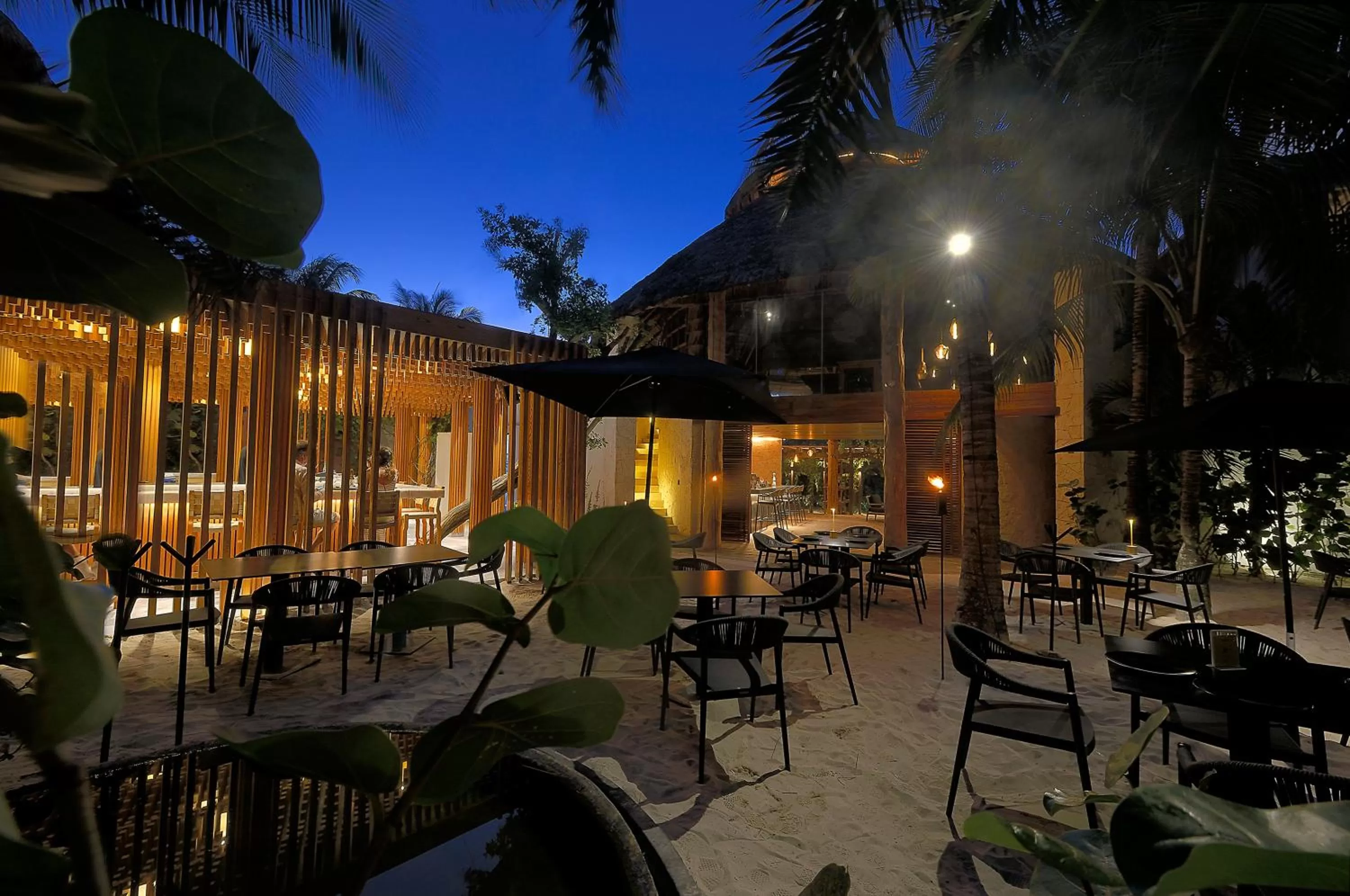 Restaurant/places to eat in Tago Tulum by G Hotels