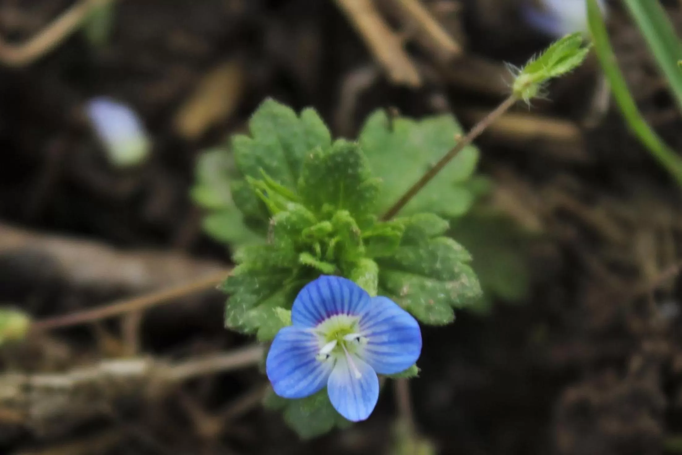 Domaine de la Couderquié
