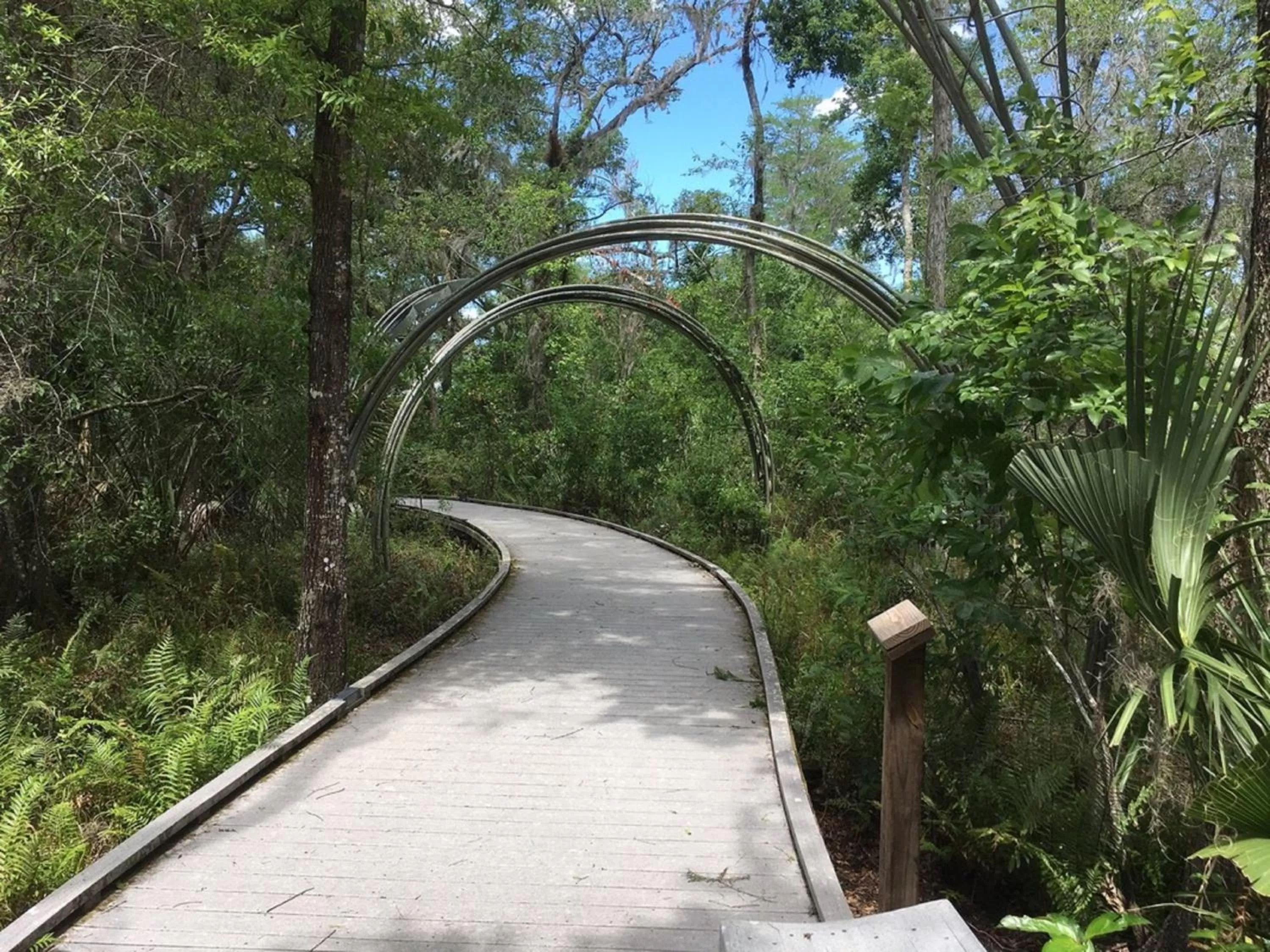 Area and facilities in Holiday Inn Express & Suites Trinity by IHG