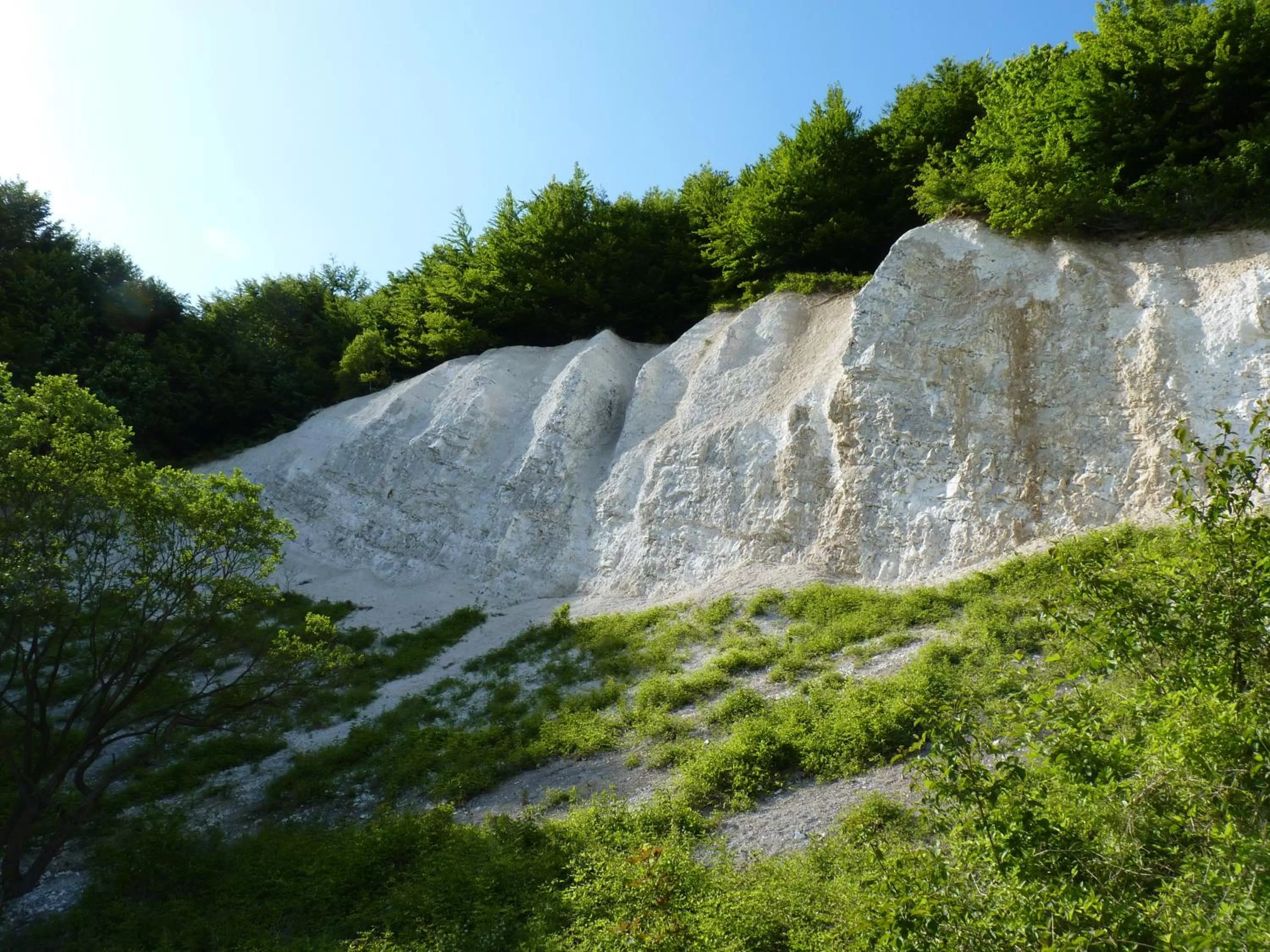 Natural Landscape in Hotel Am Markt