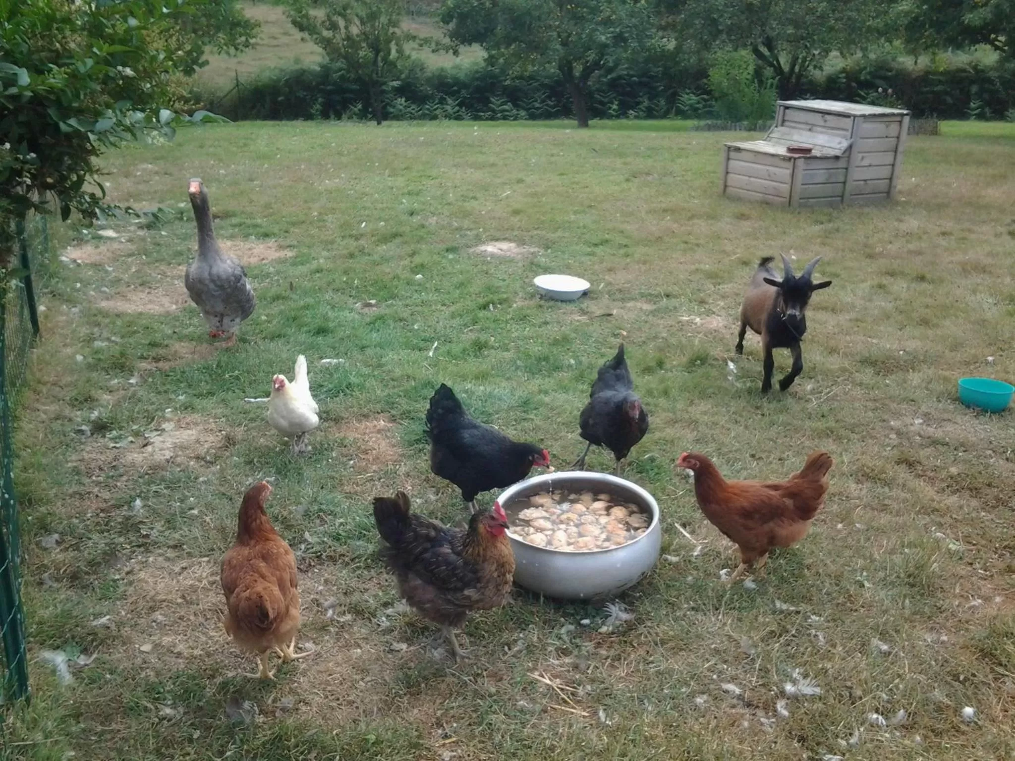 Animals in La Parisiere