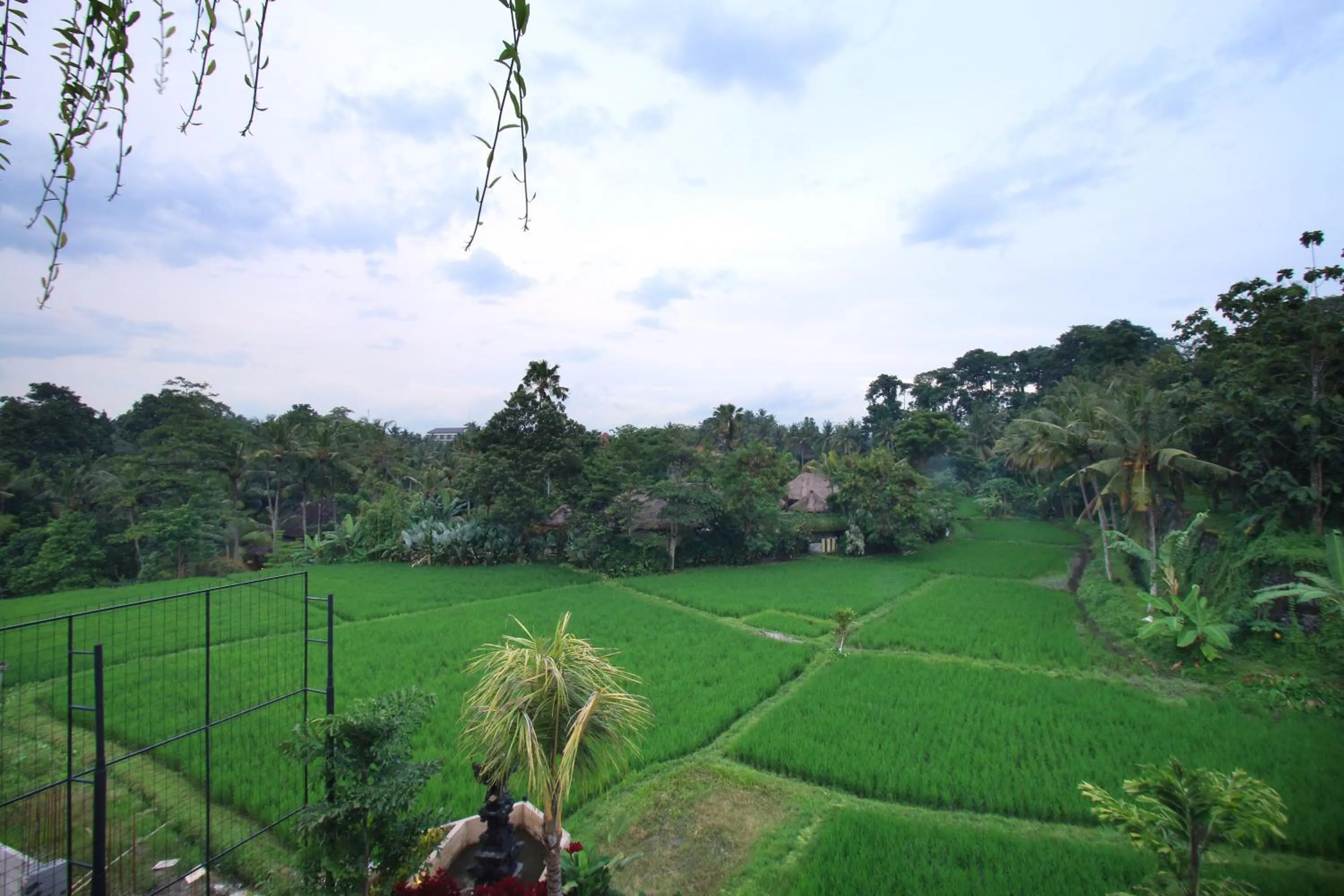 Balcony/Terrace in Byasa Ubud