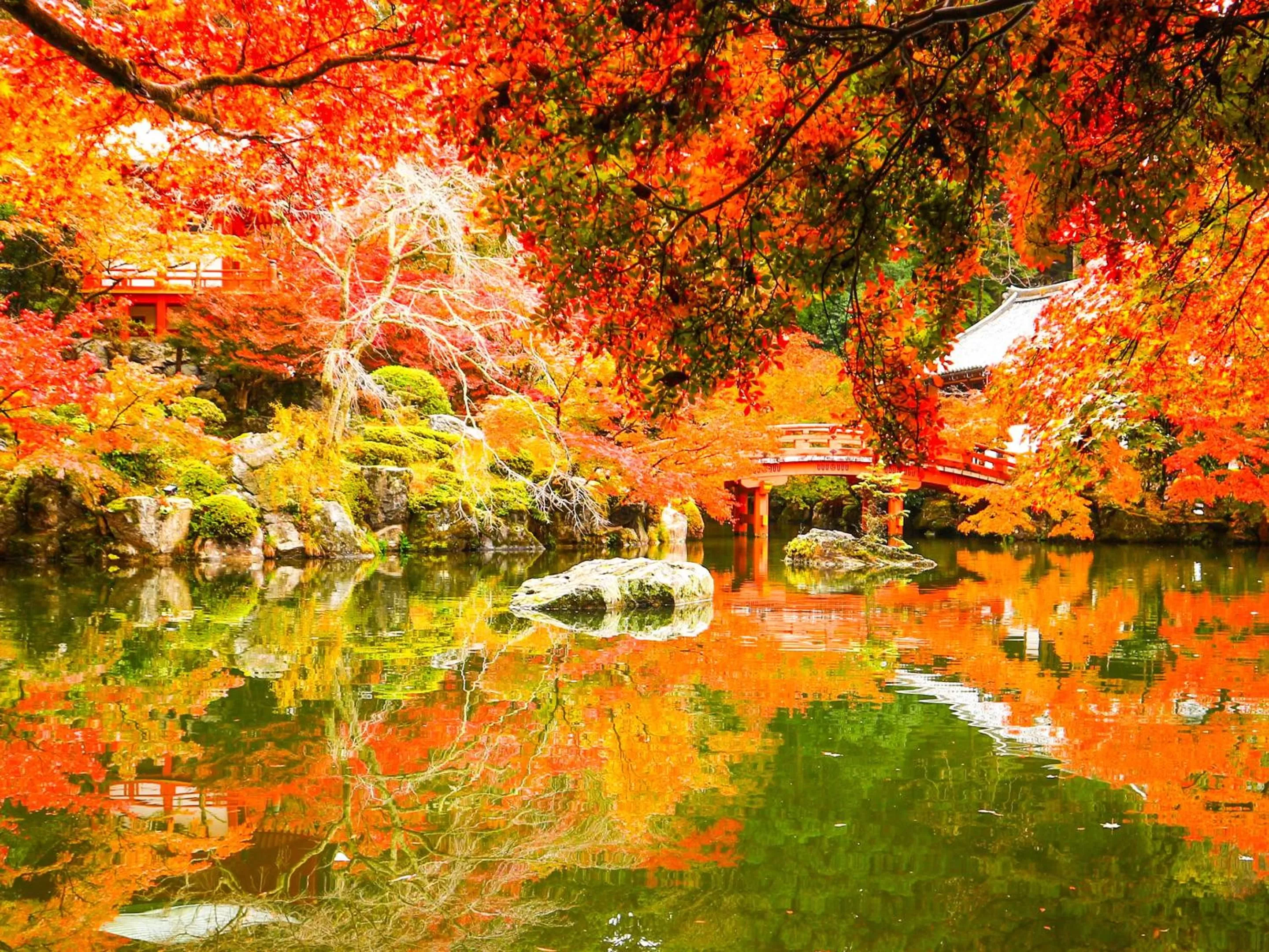 Nearby landmark in THE MACHIYA EBISUYA