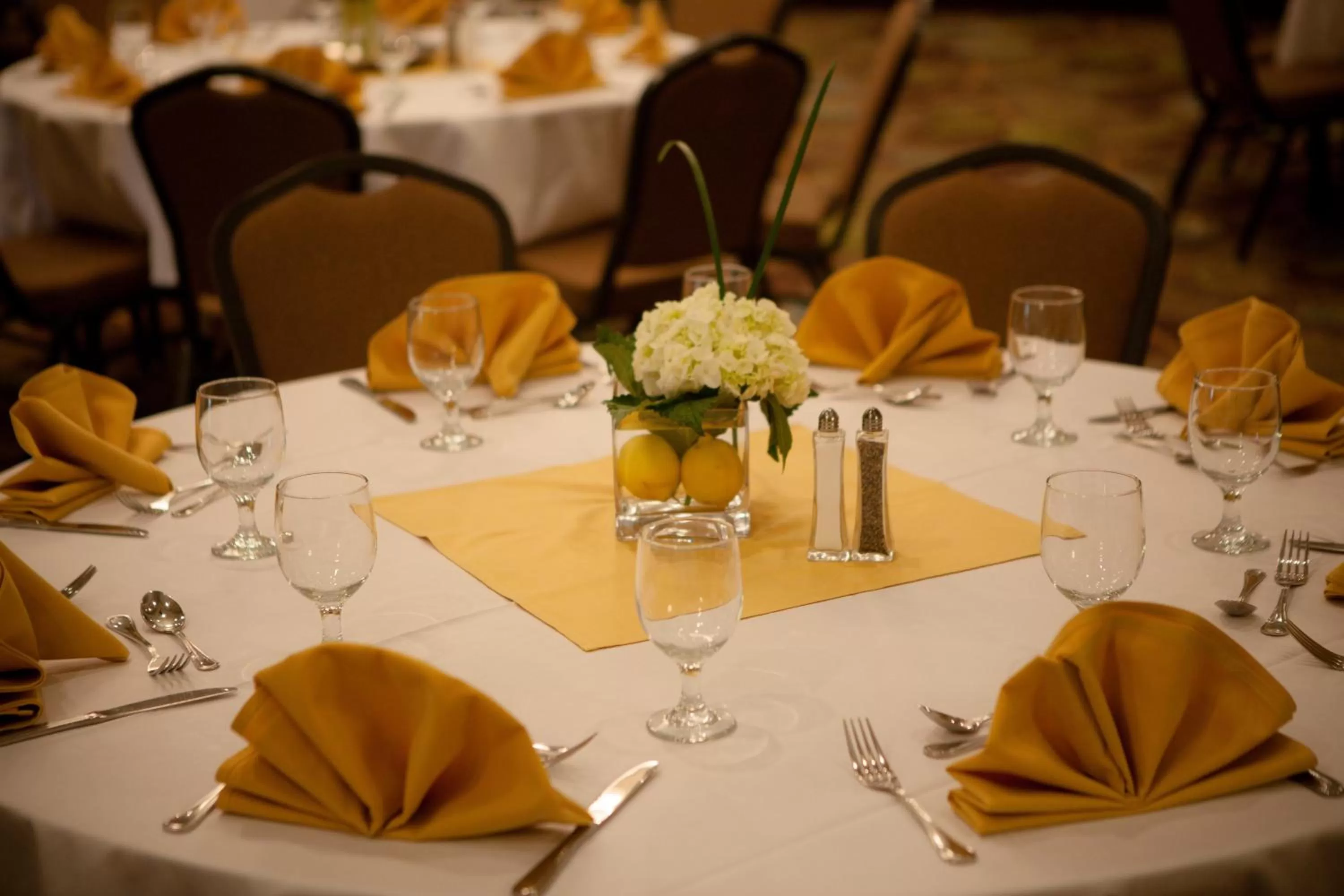 Meeting/conference room in Holiday Inn Greenville by IHG