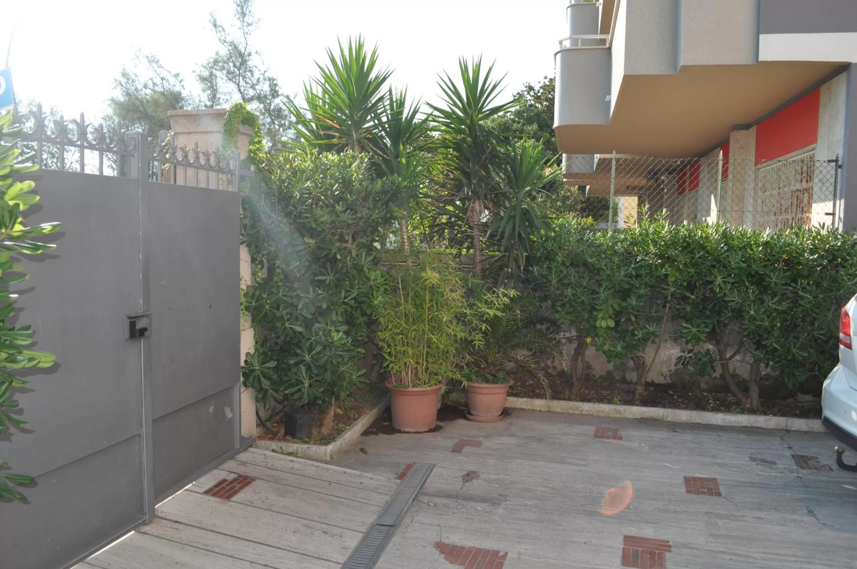 Garden in Villa L'Aurora