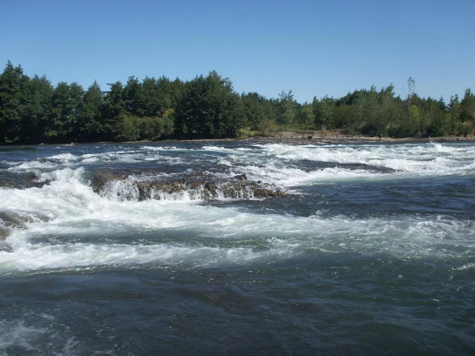 Coyunche Cabañas y Camping Laja & San Rosendo