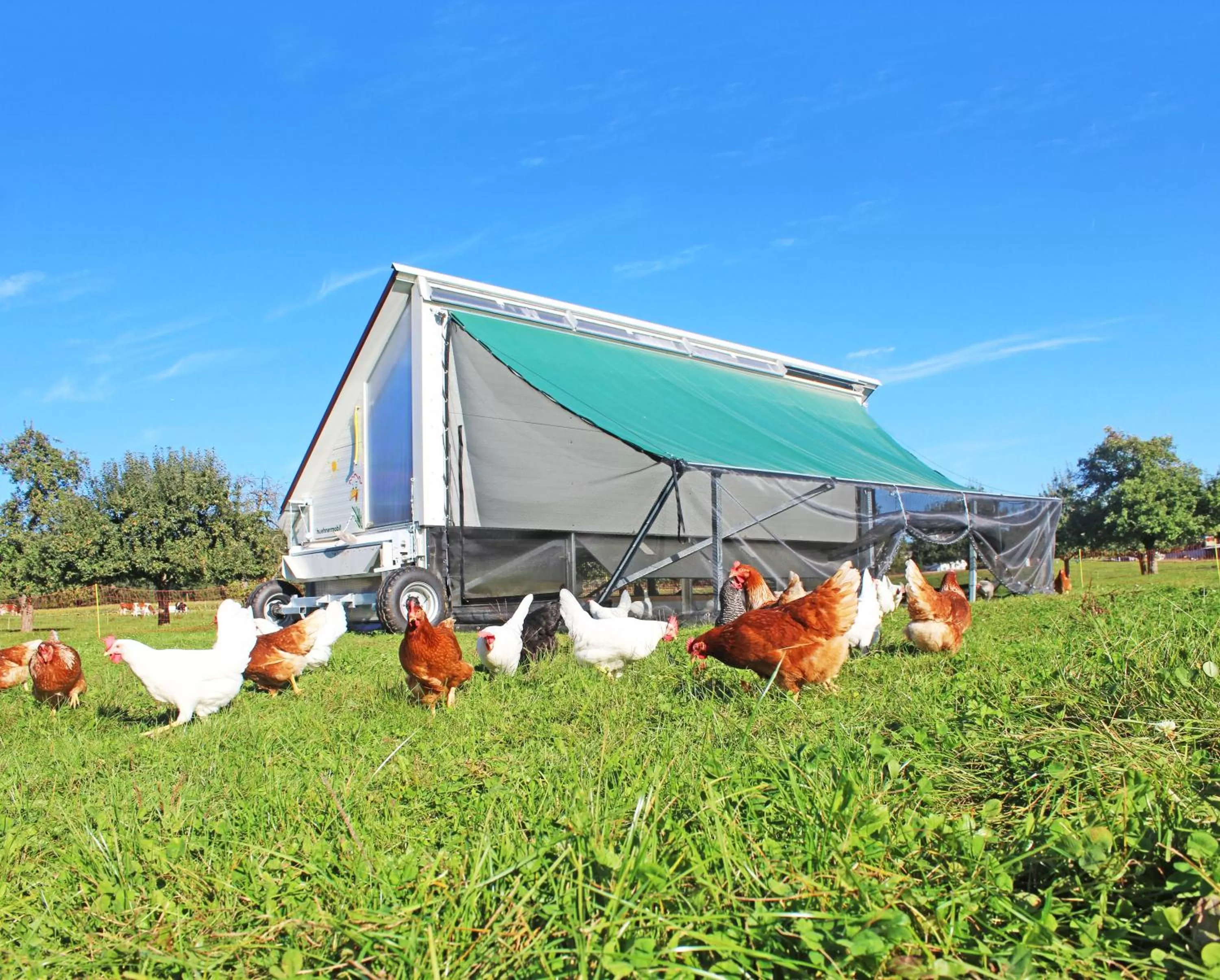 Animals in Gasthaus zum Bauernhof