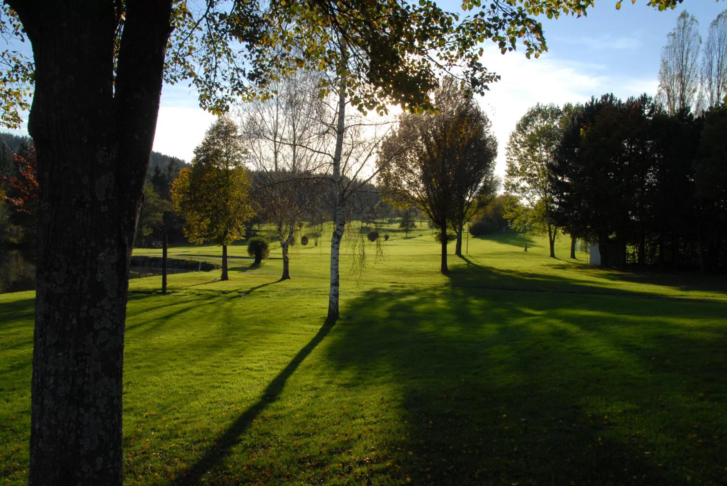 Golfcourse in Hotel Hausschachen