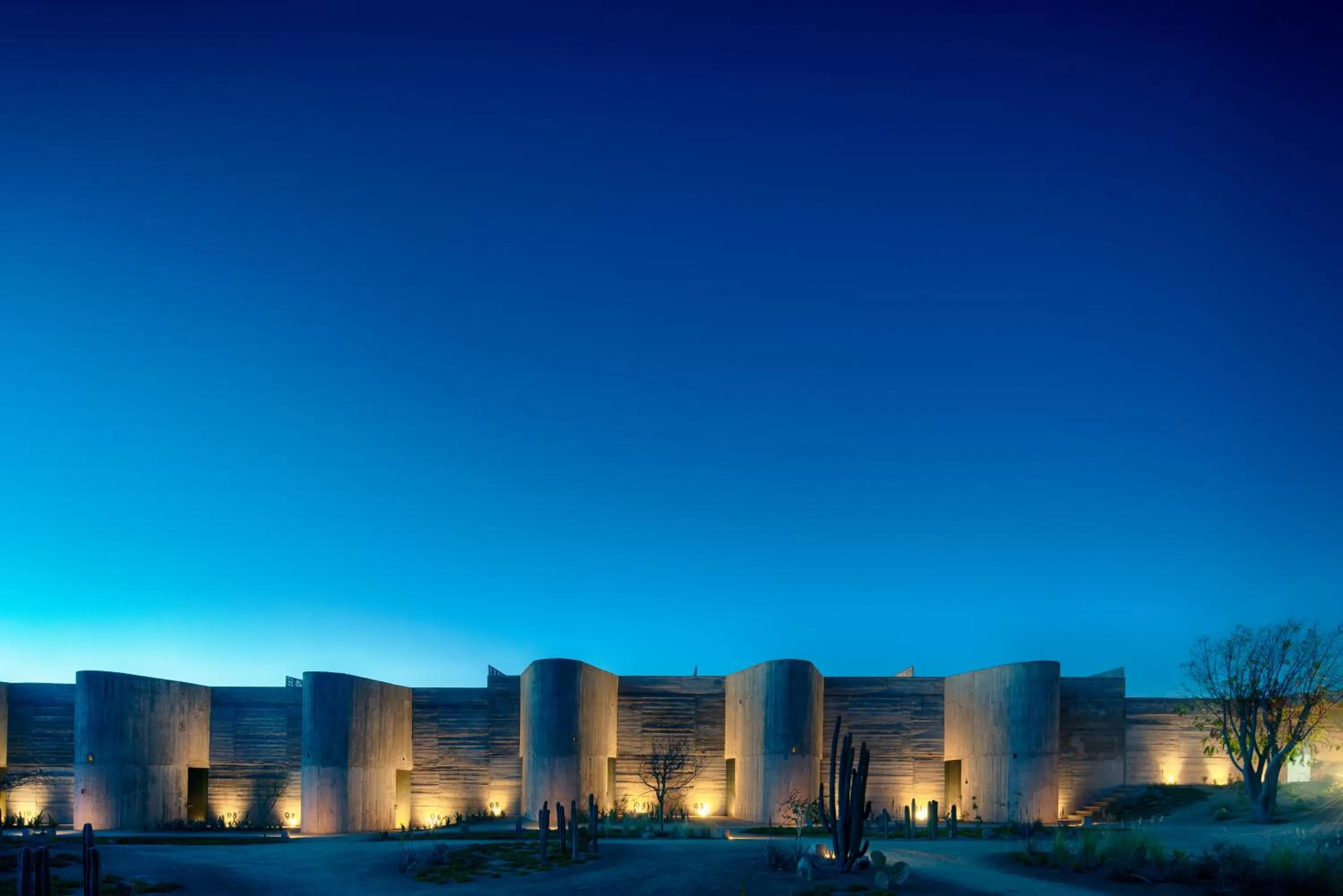 Night in Paradero Todos Santos - Exclusive experiences included