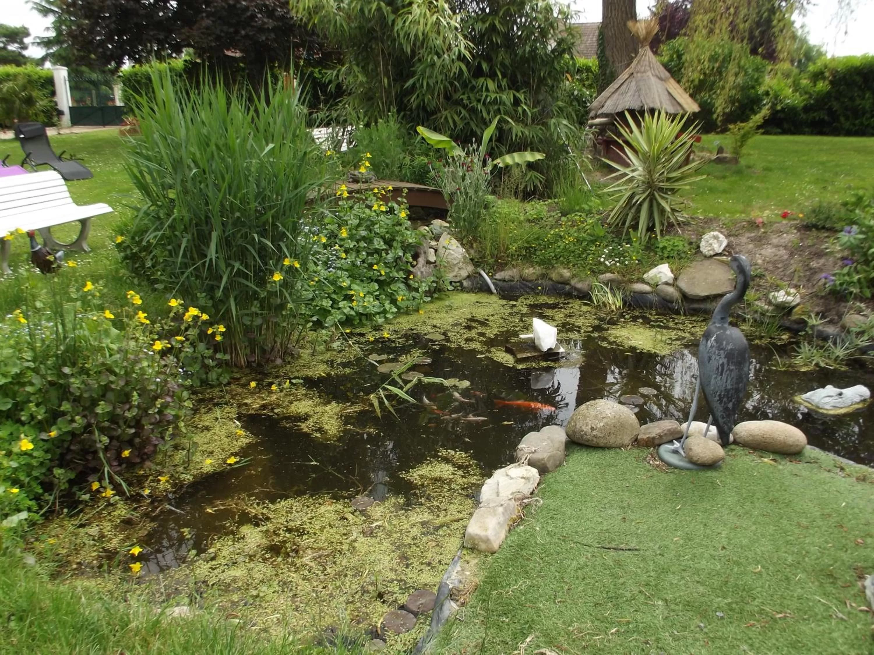 Garden in O tour du monde