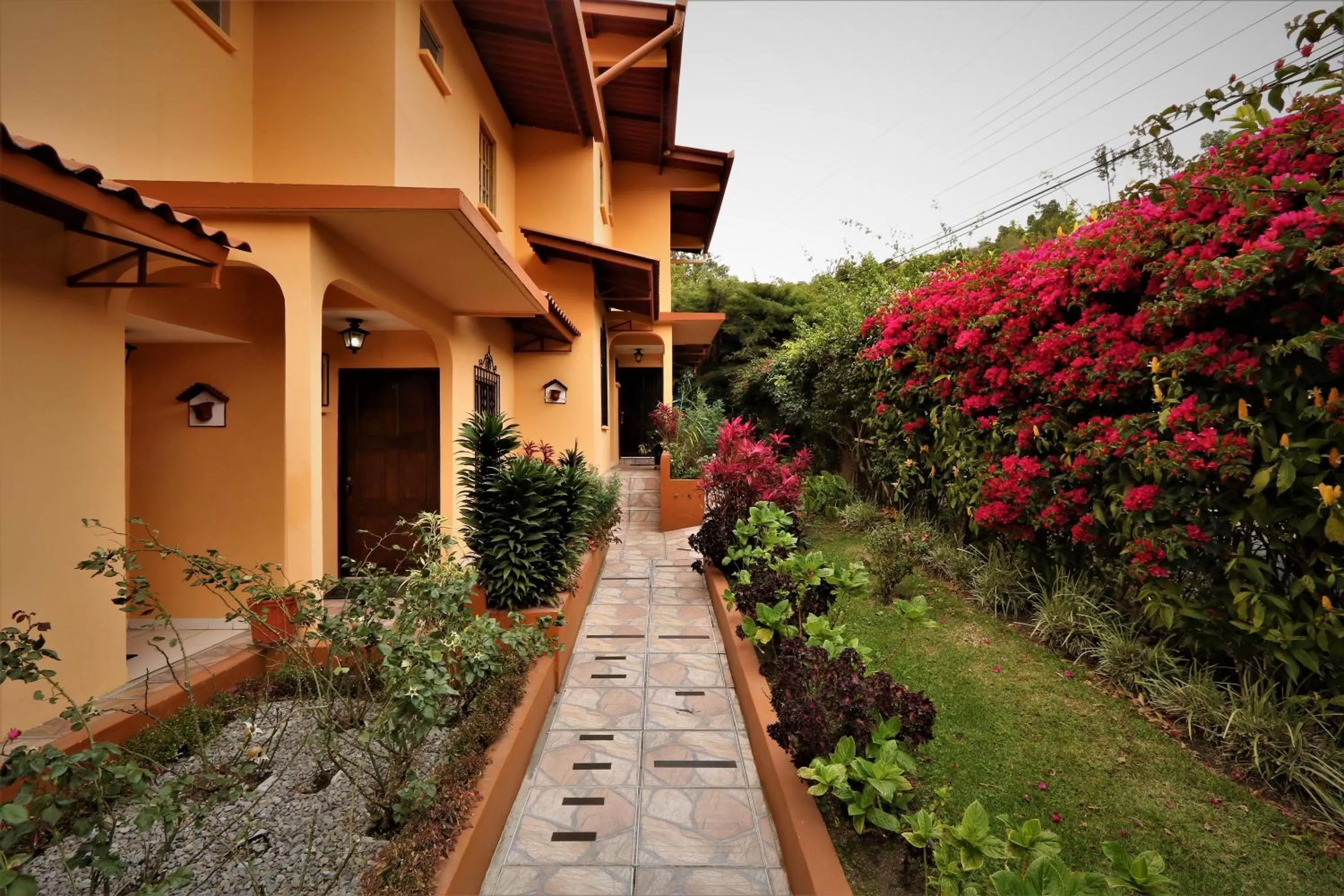 Property building, Garden in Aparthotel Los Pinos