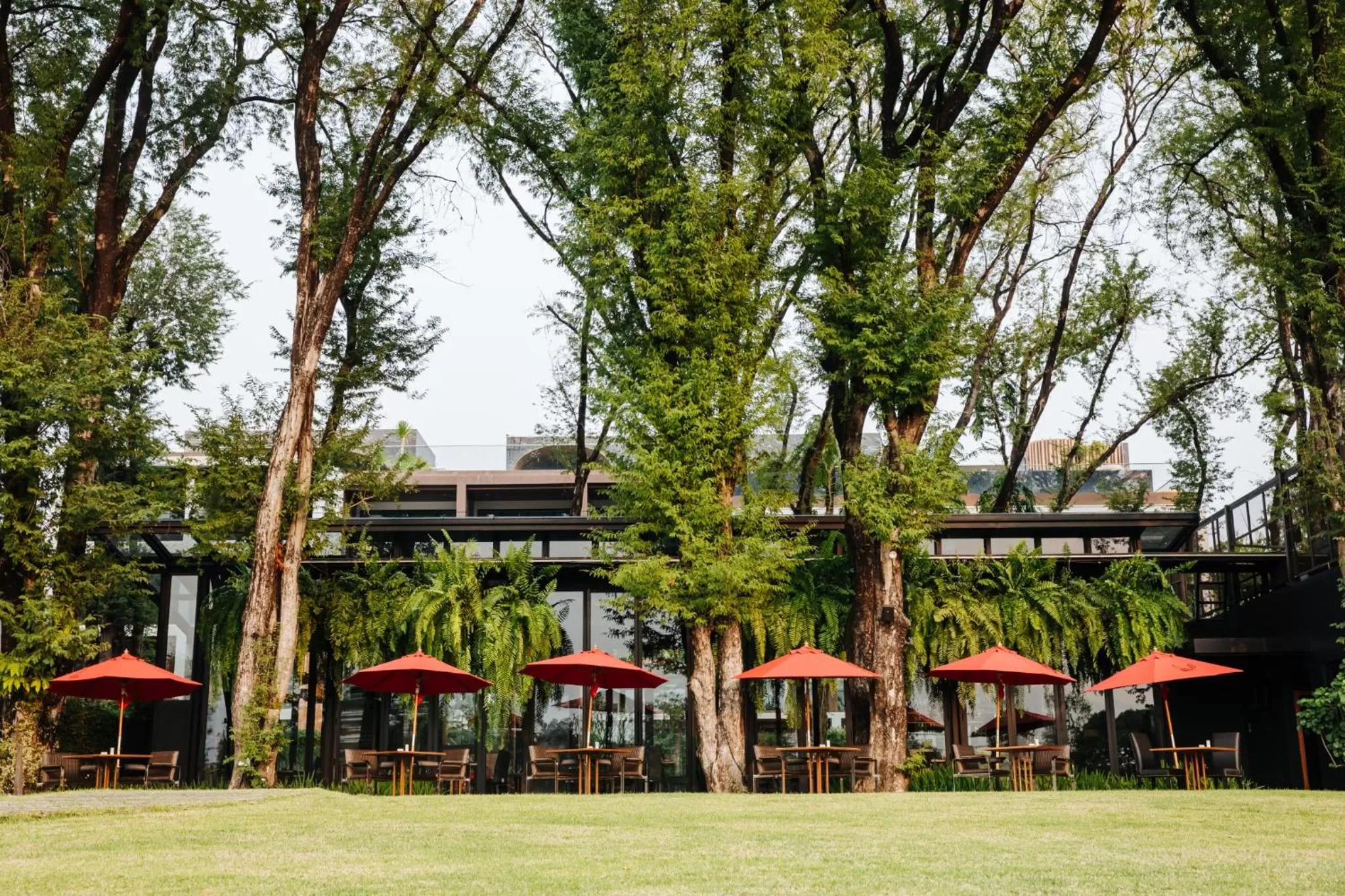 Restaurant/places to eat in Cross Chiang Mai Riverside