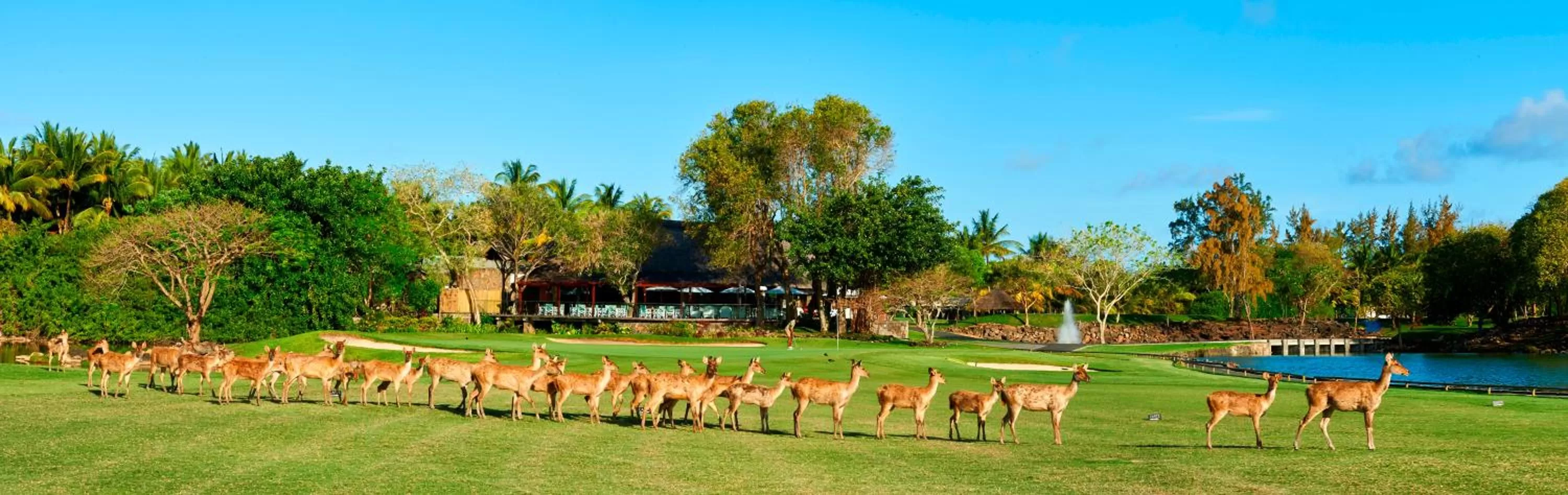 Golfcourse in Constance Belle Mare Plage