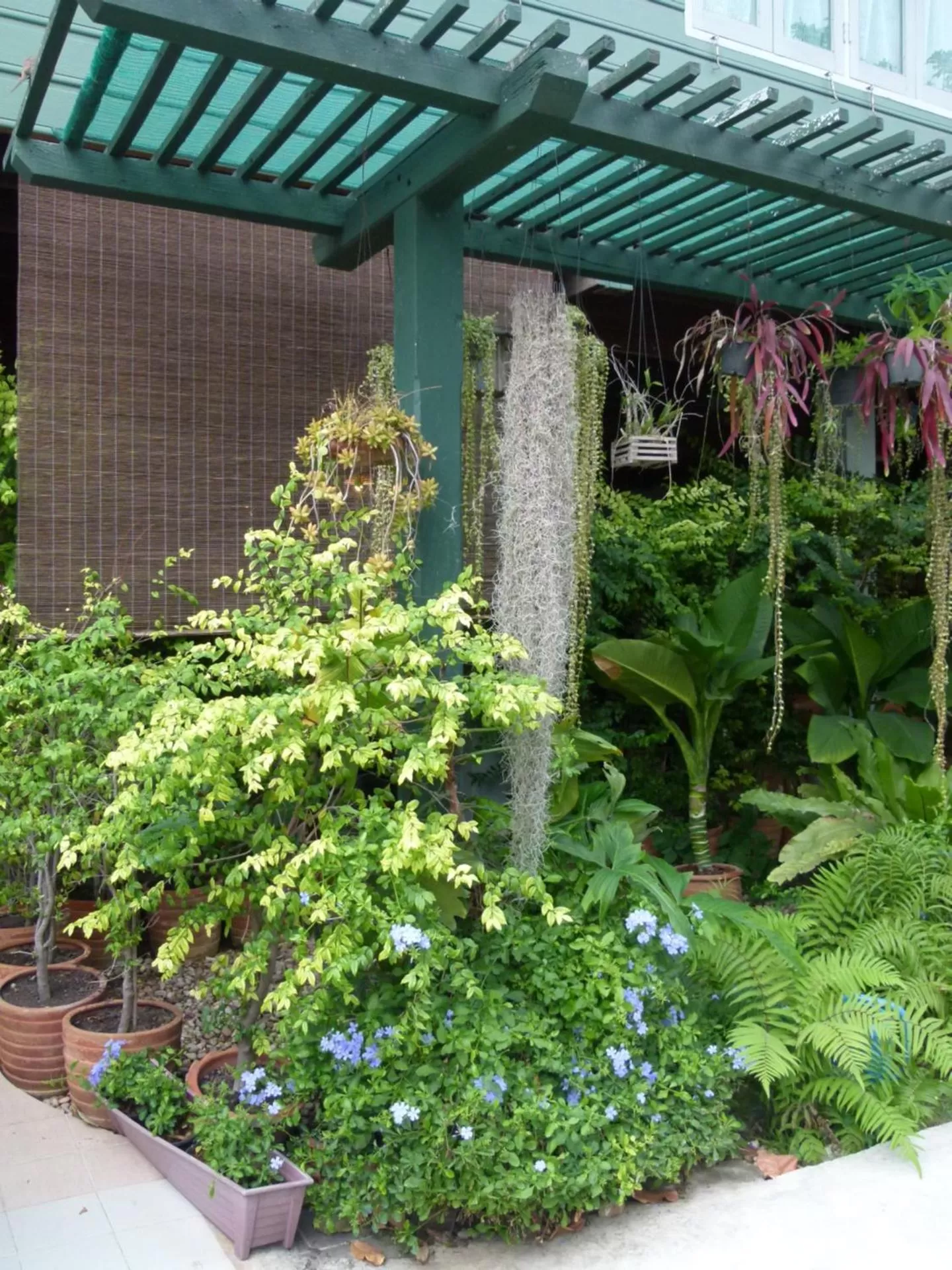 Garden in Ban Boonchu