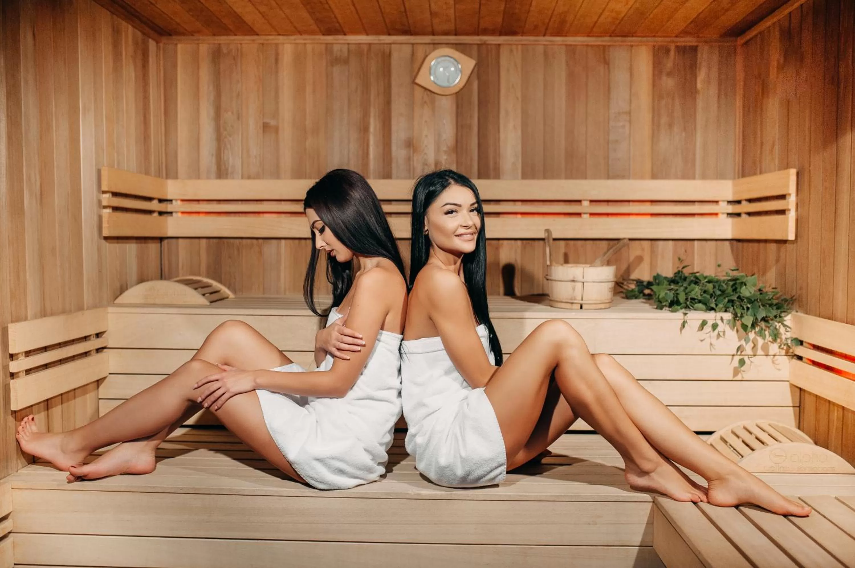 Tree House Relax Park