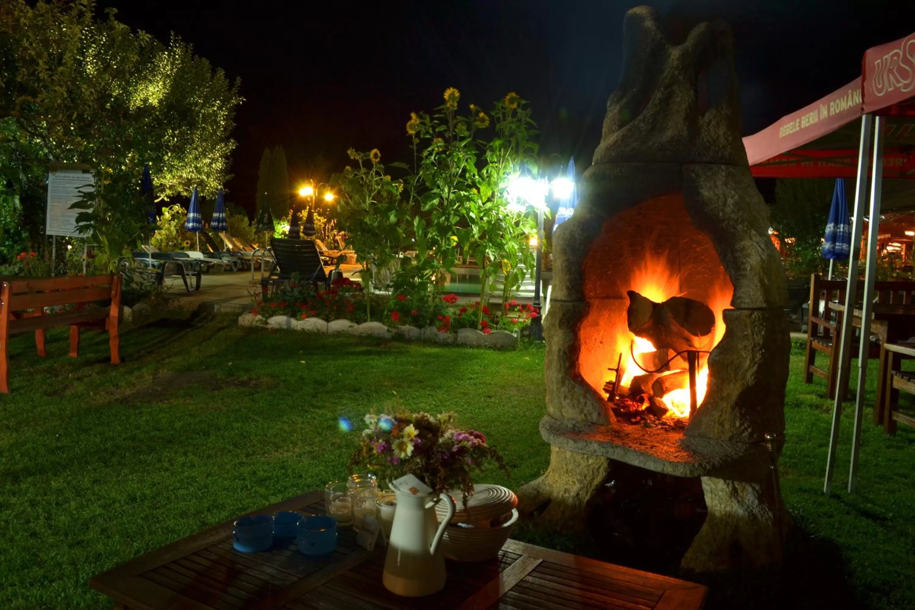 Garden in Hotel Bielmann